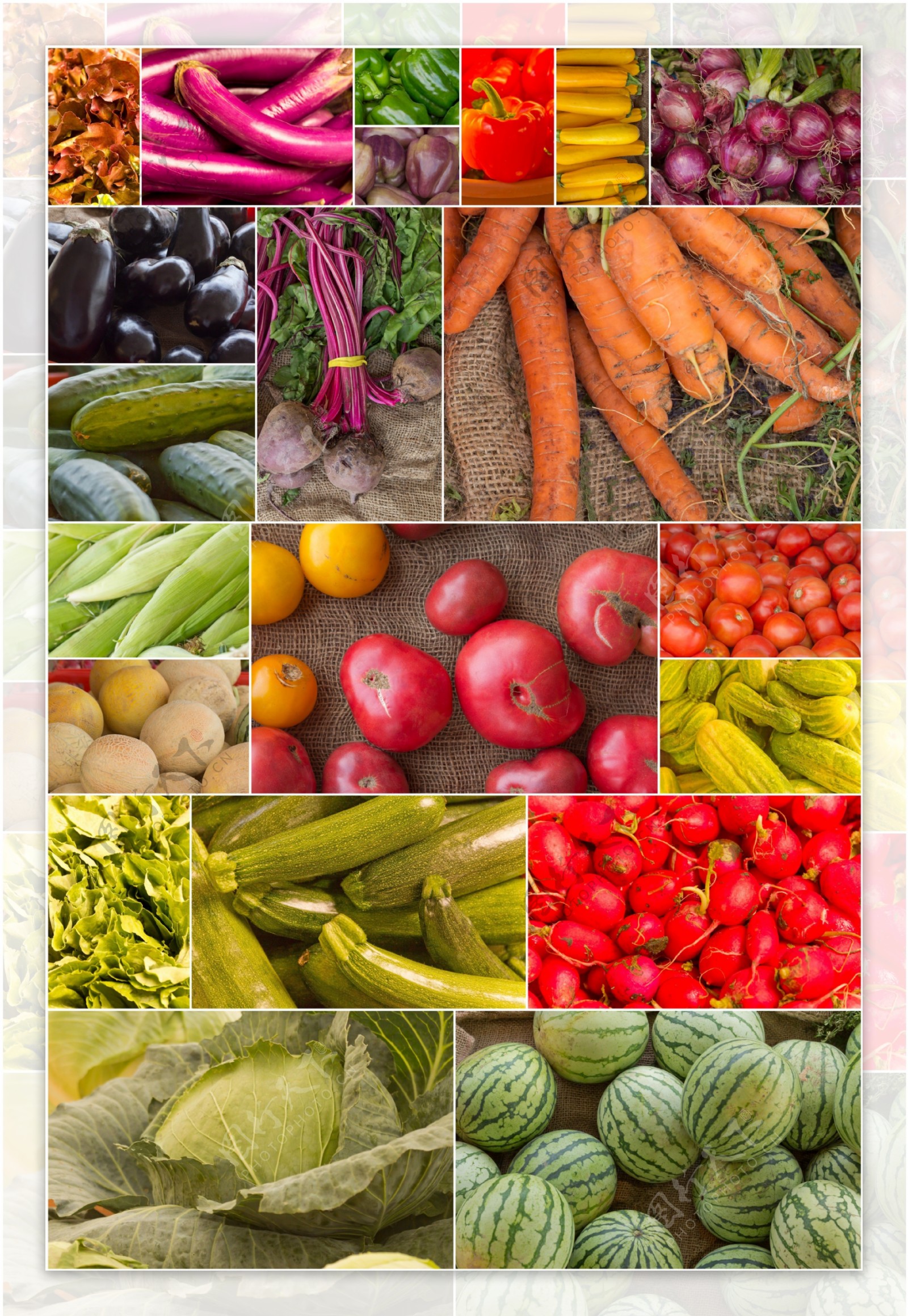新鲜蔬菜摄影图片