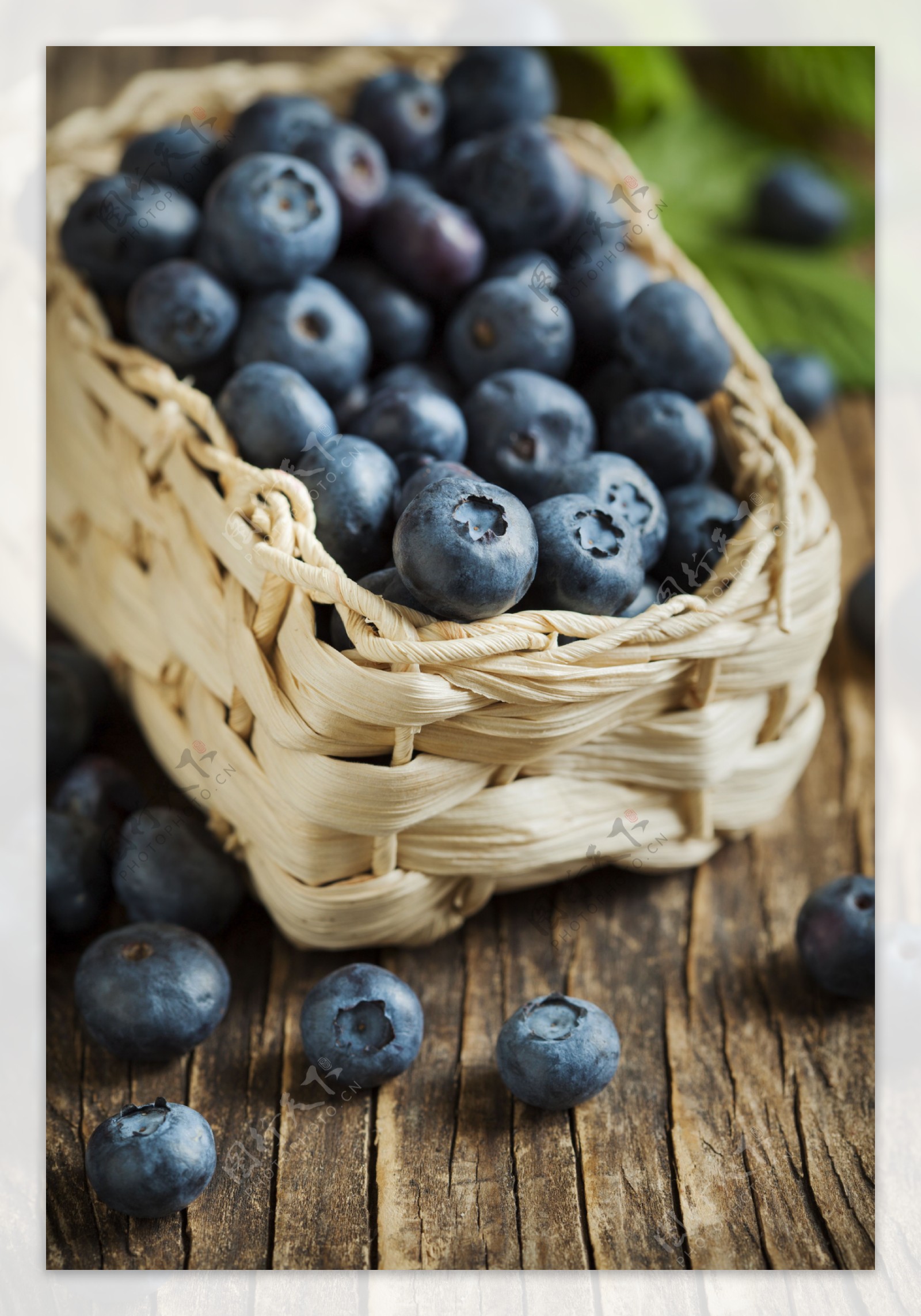 编织框里的蓝莓图片