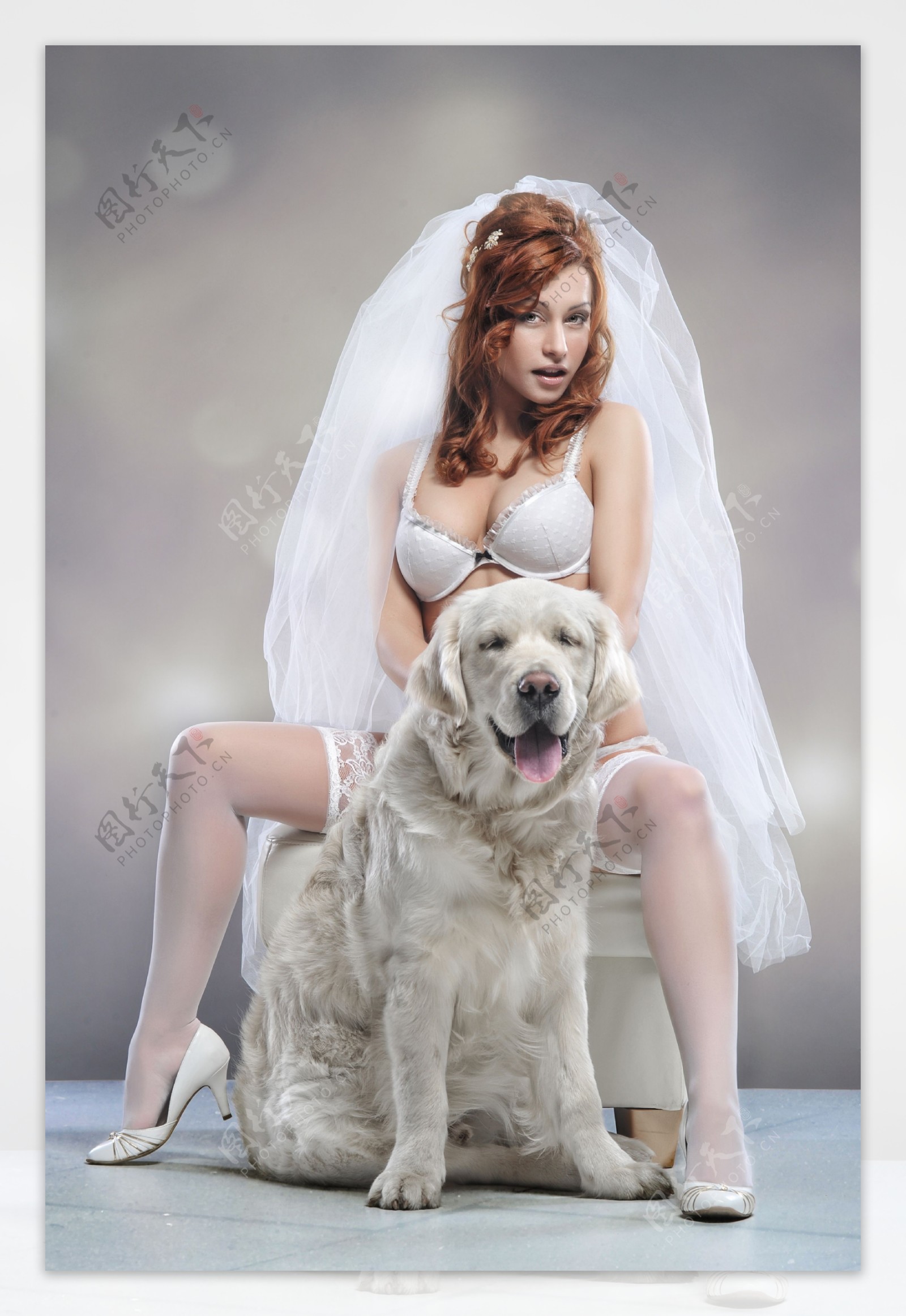 性感新娘和狗图片