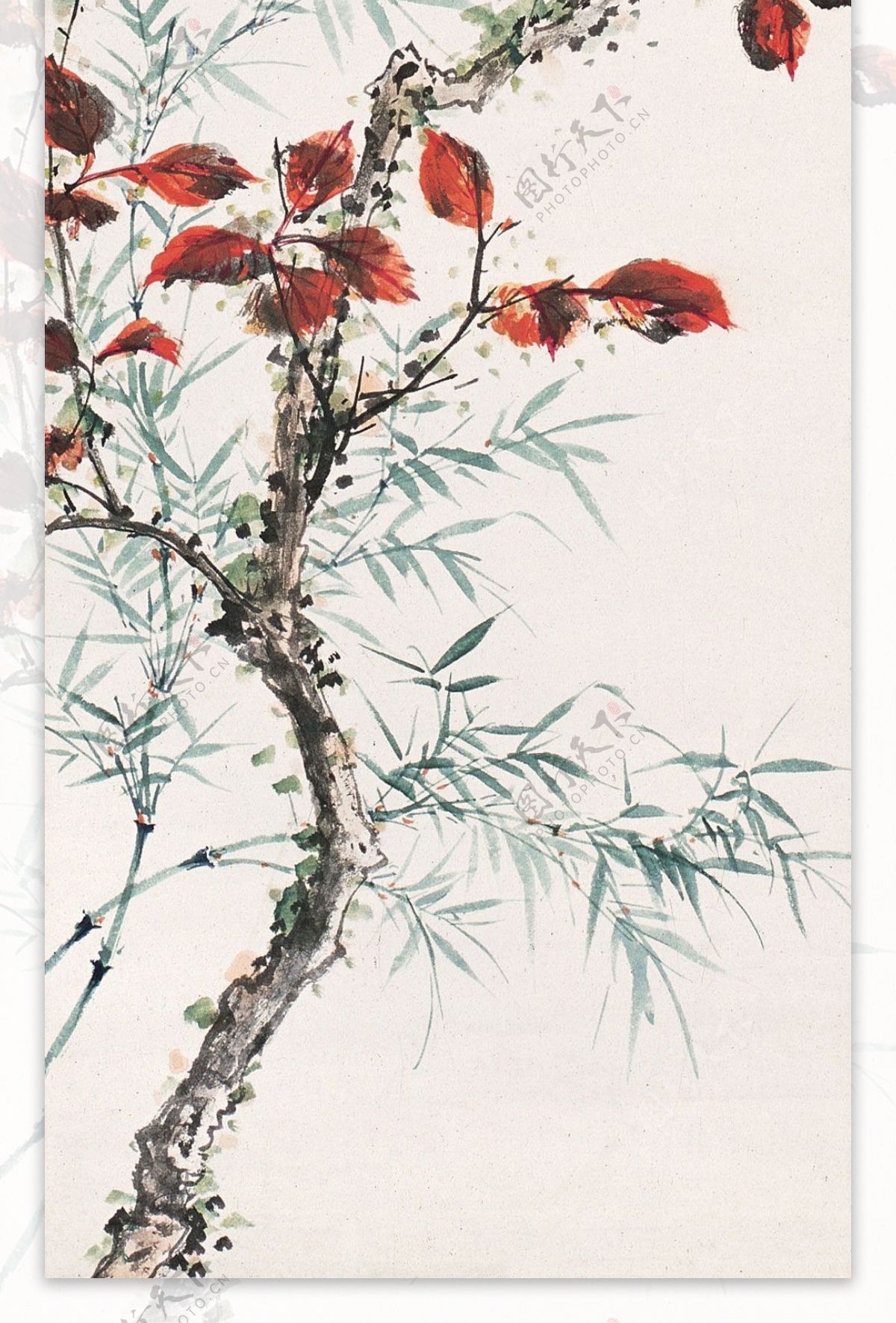 树枝与鸟国画图片