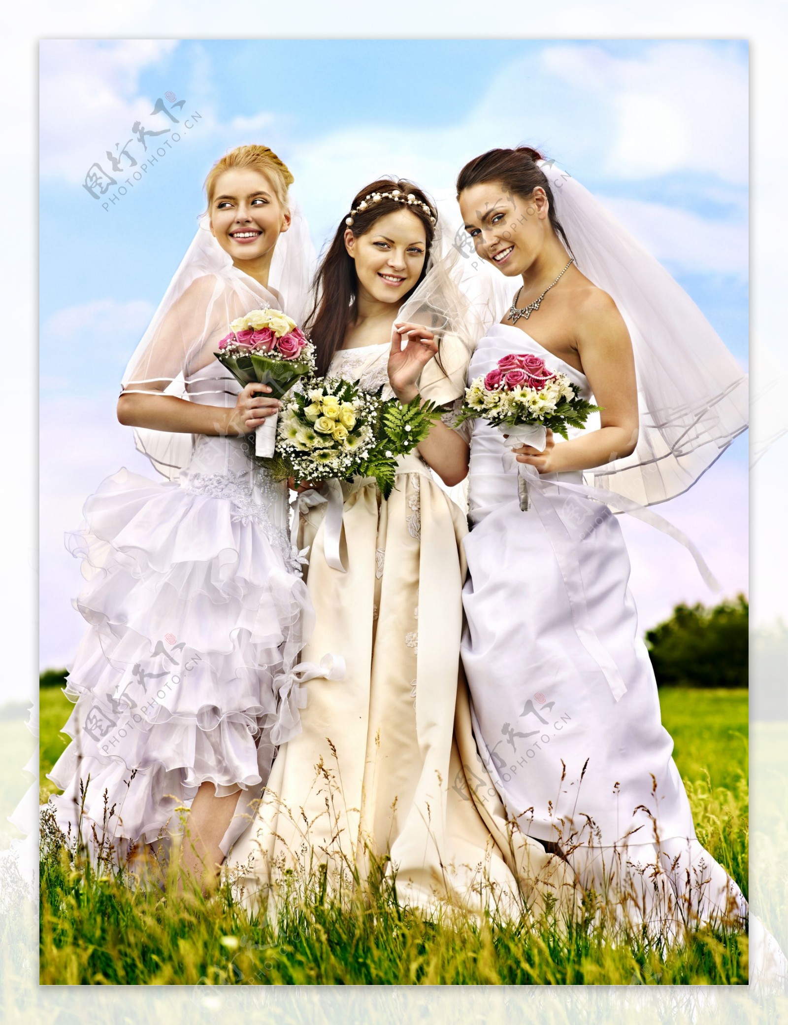 草地上的新娘图片