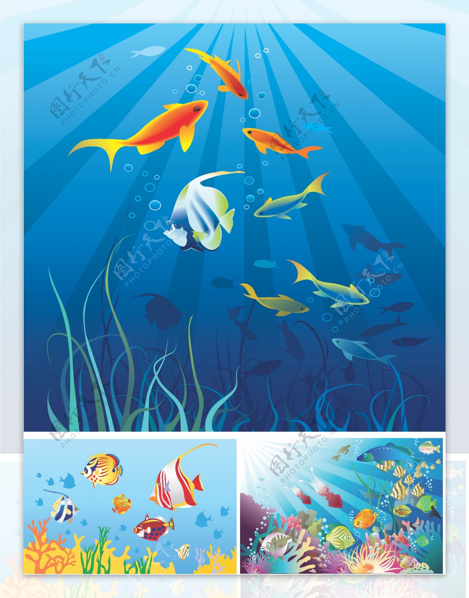 简单的矢量图形插画的海底世界
