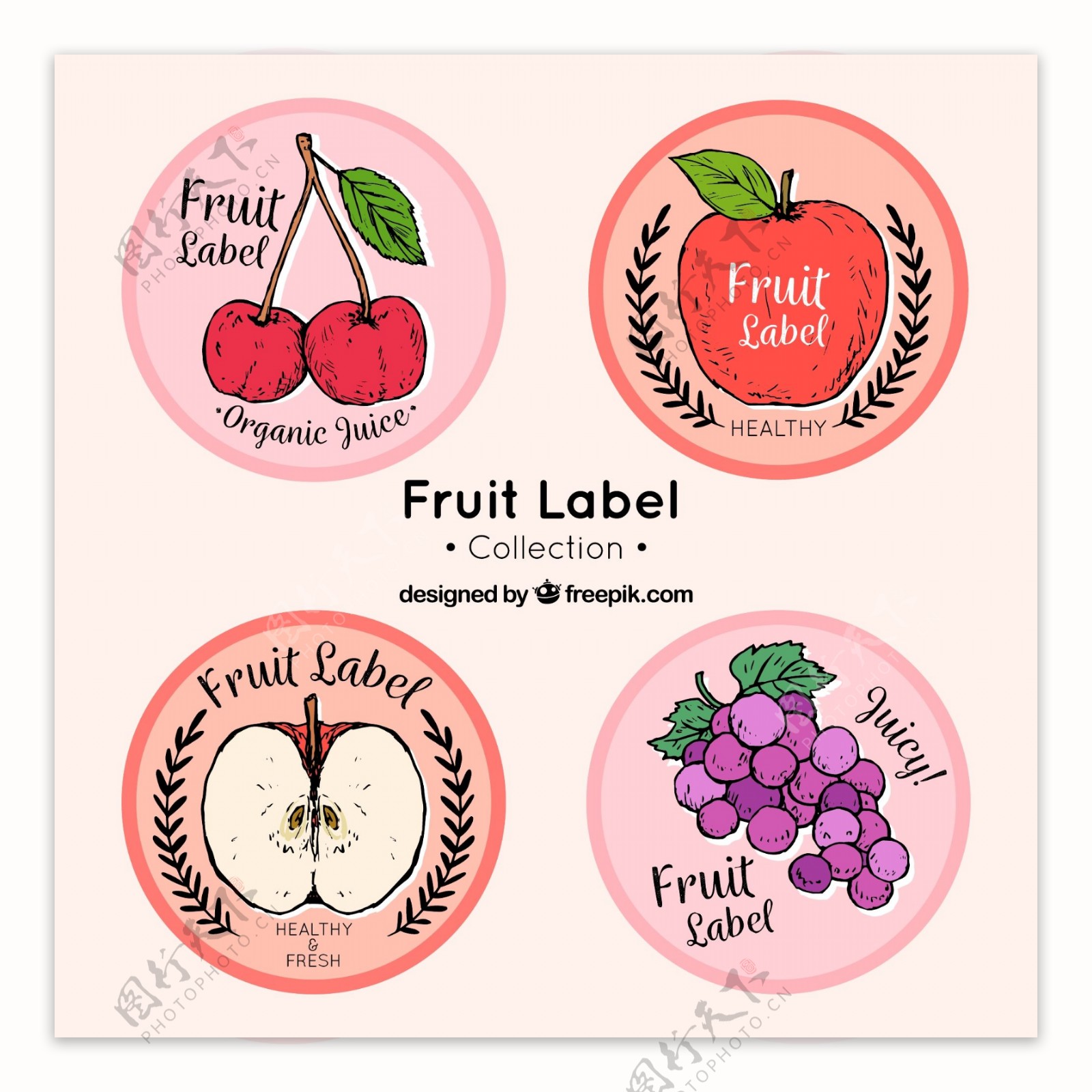 四个手绘水果圆形标签图标