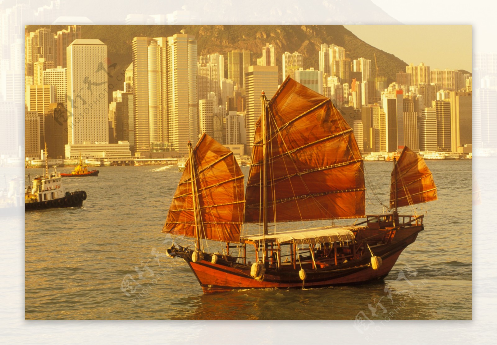 香港海面上的帆船图片