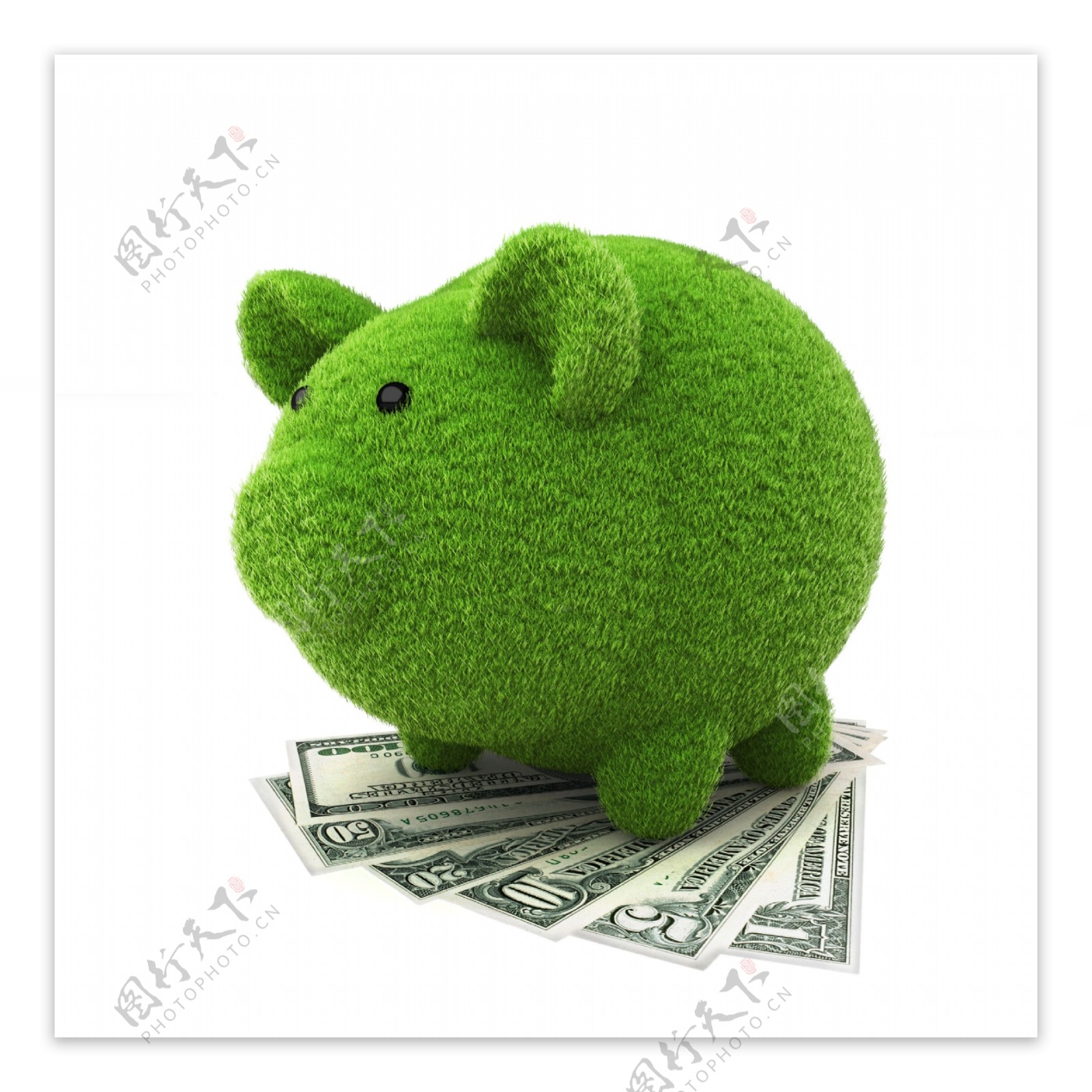 绿草小猪储钱罐和美元