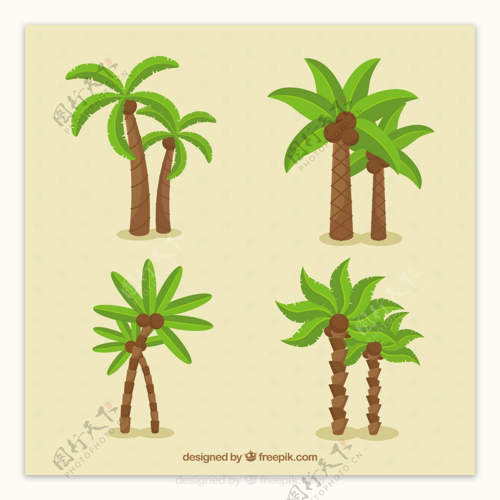 不同类型的棕榈树矢量素材