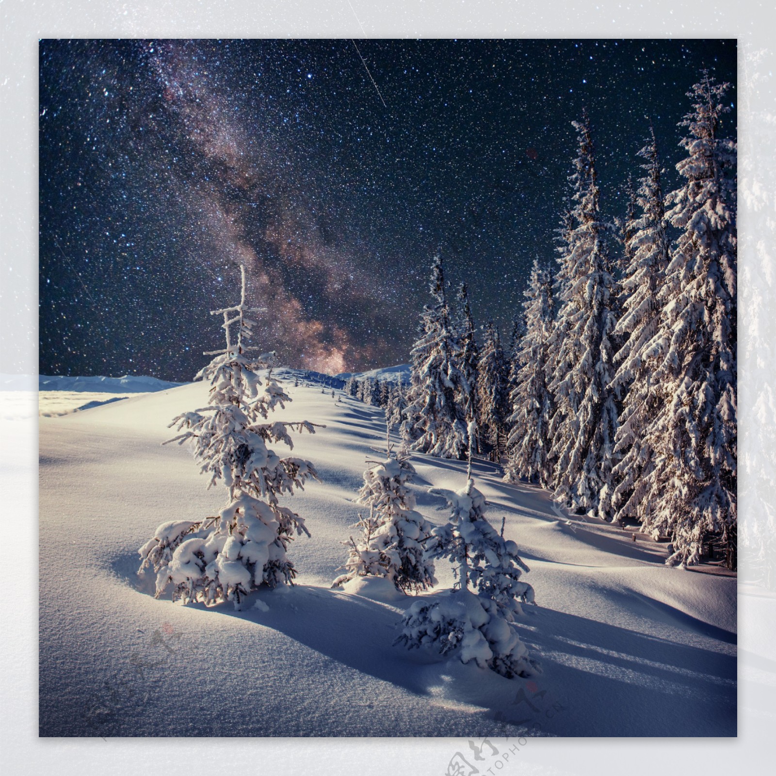 星空树林雪地图片