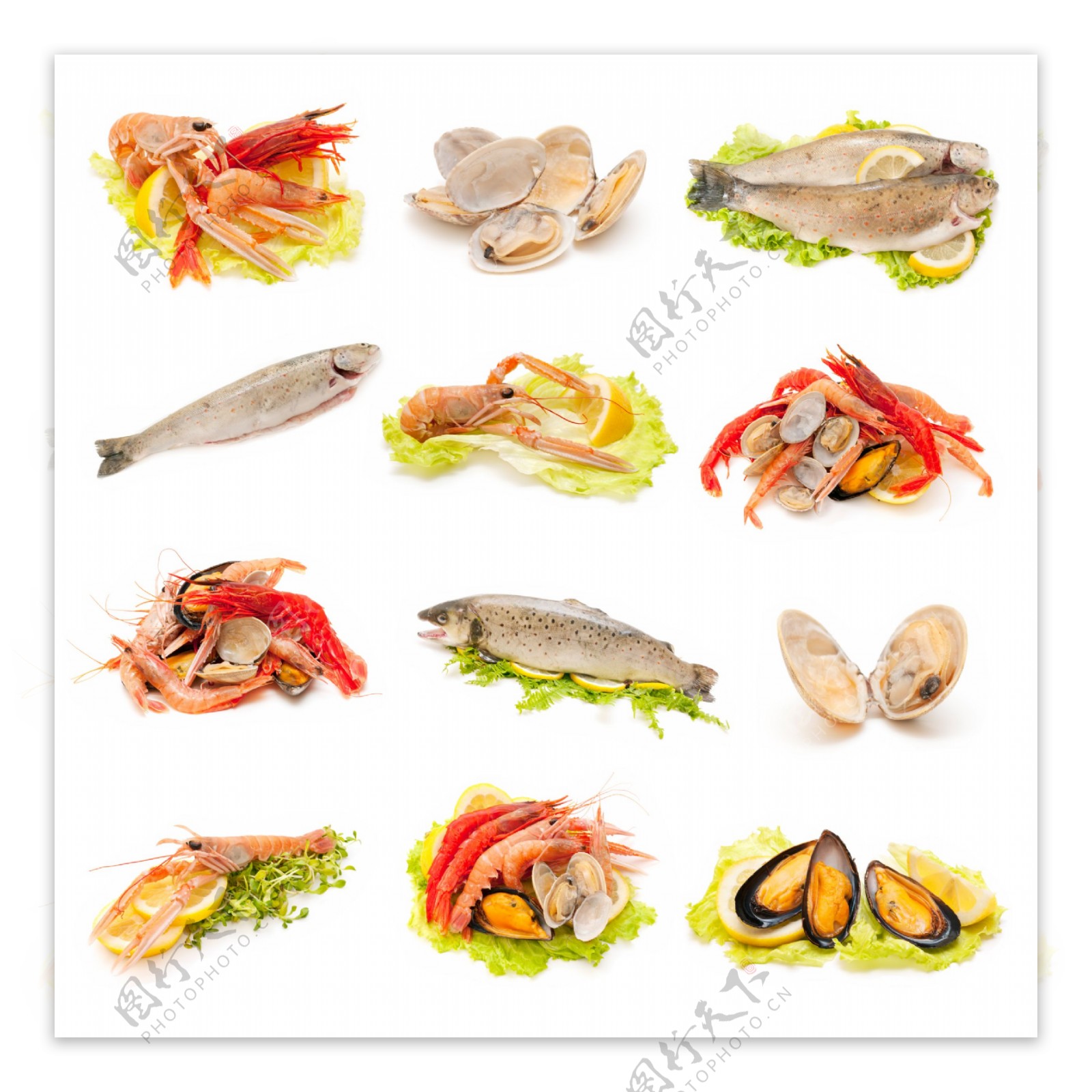 海鲜食物原料图片