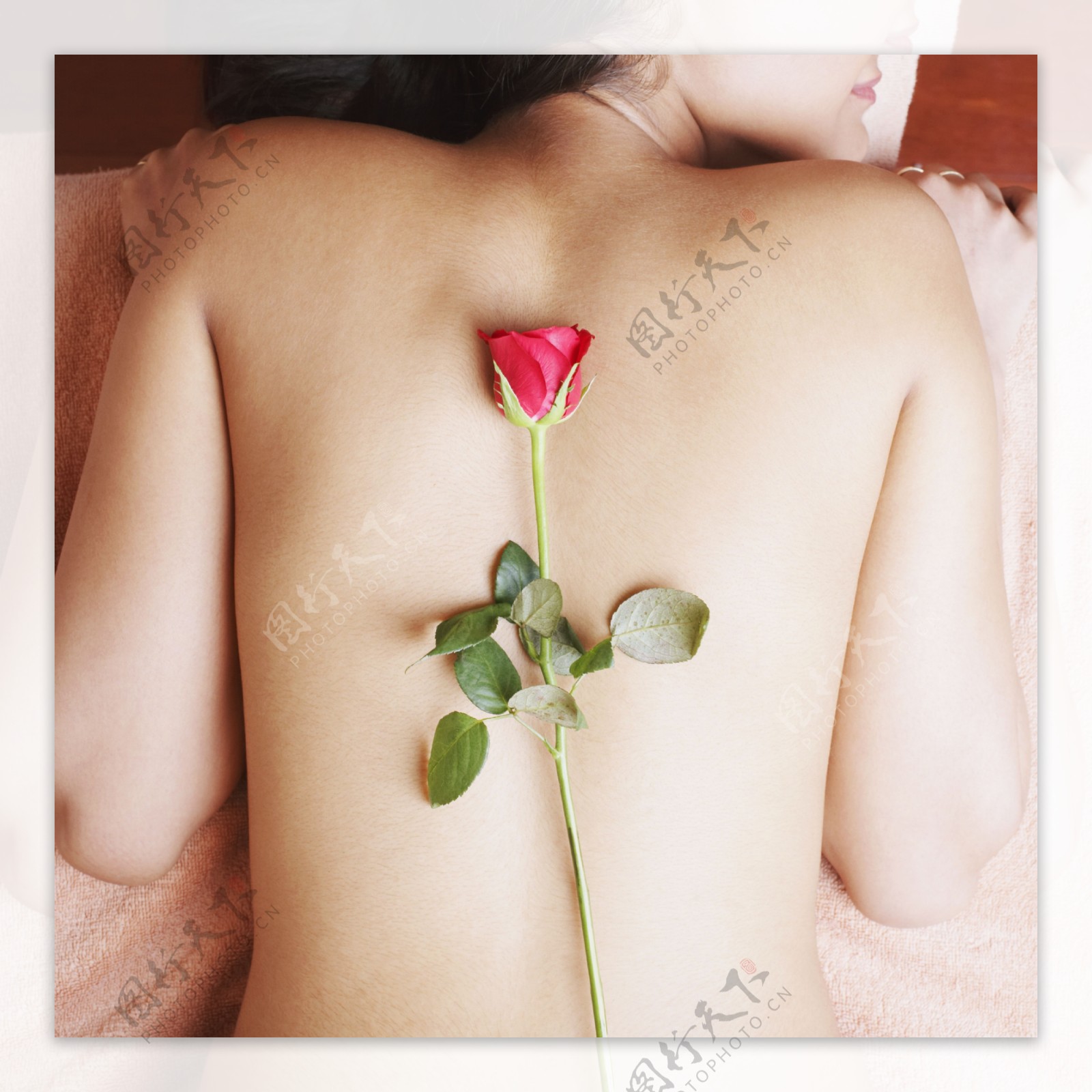 背部放玫瑰花的外国性感美女图片