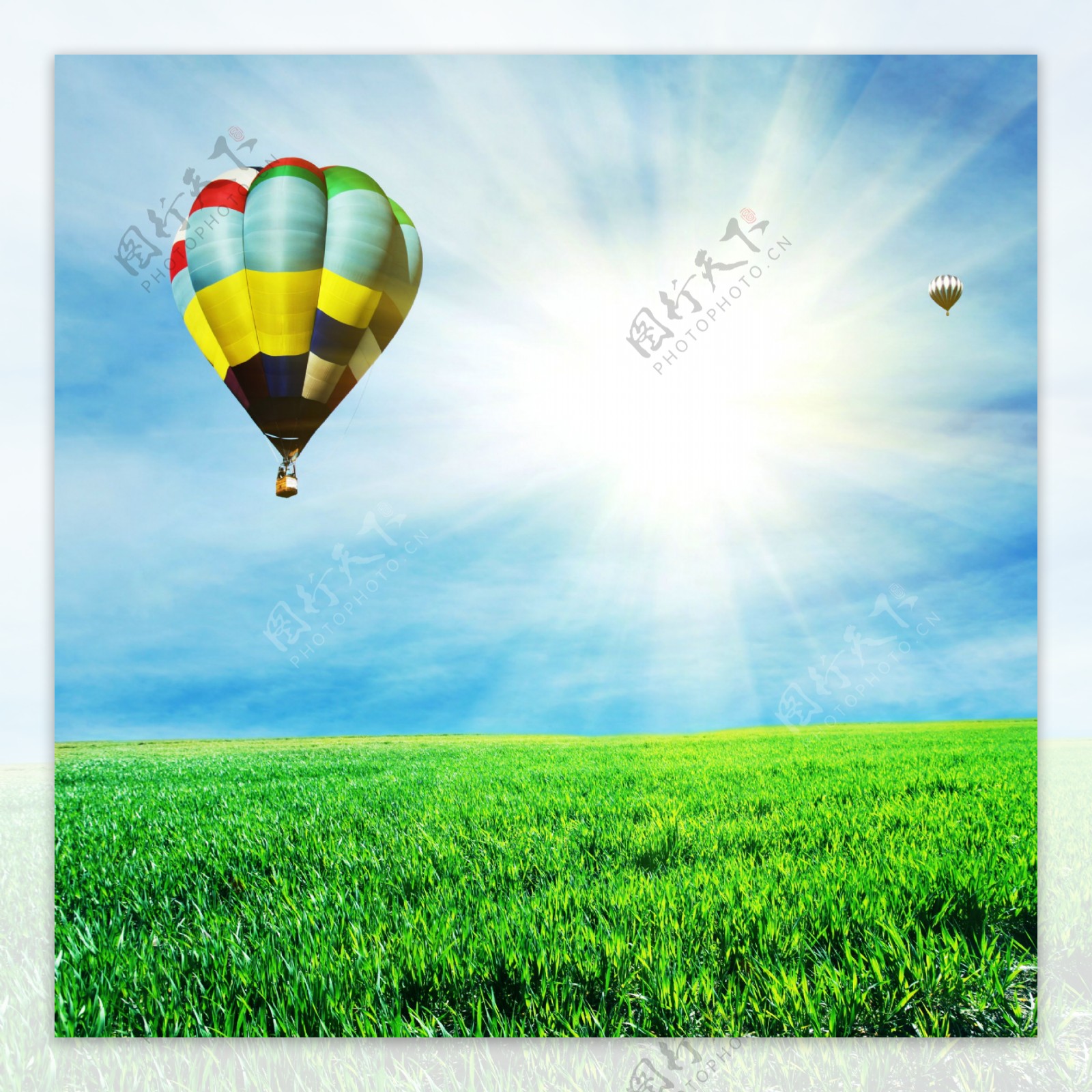 阳光下草地上的热气球