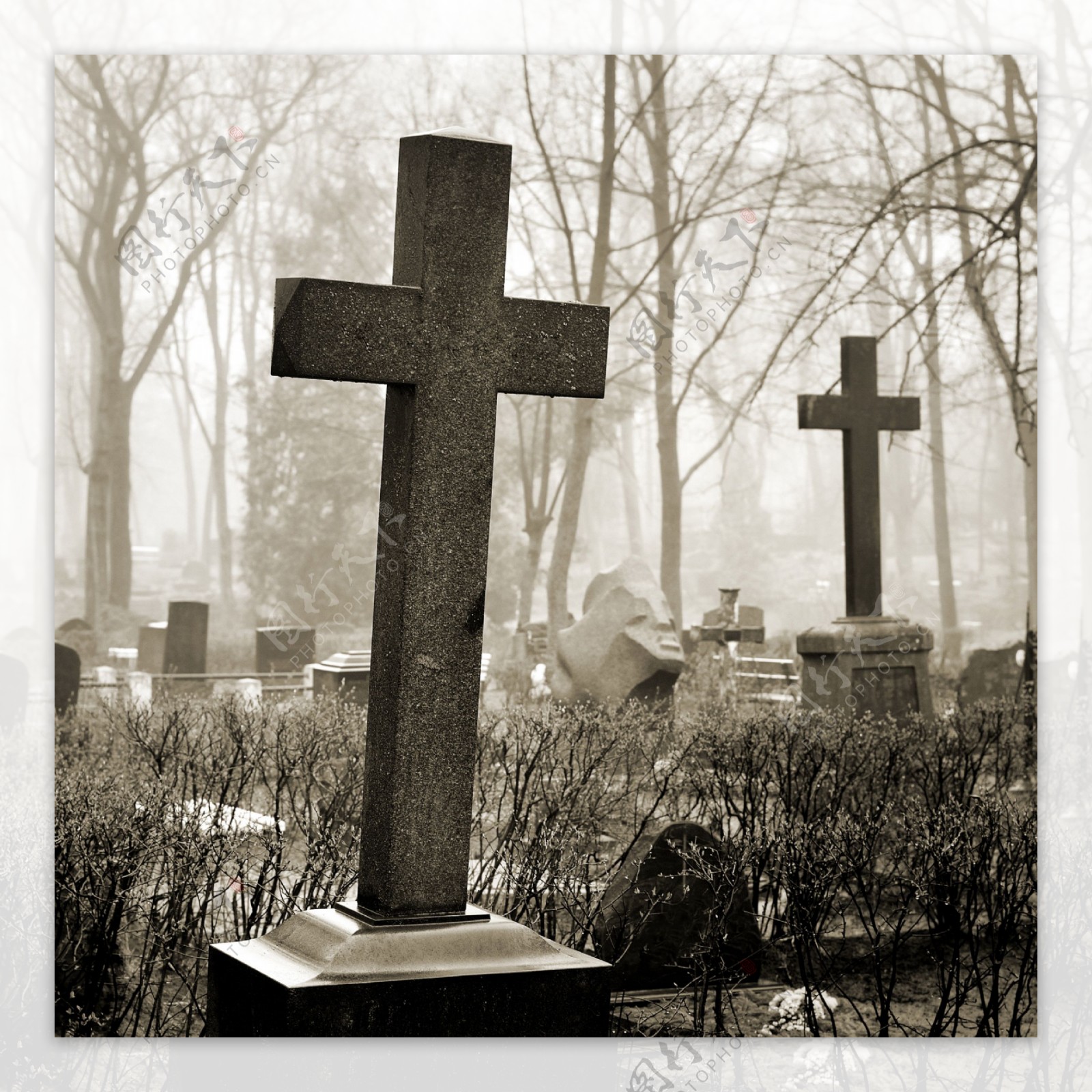 墓地里的十字架图片
