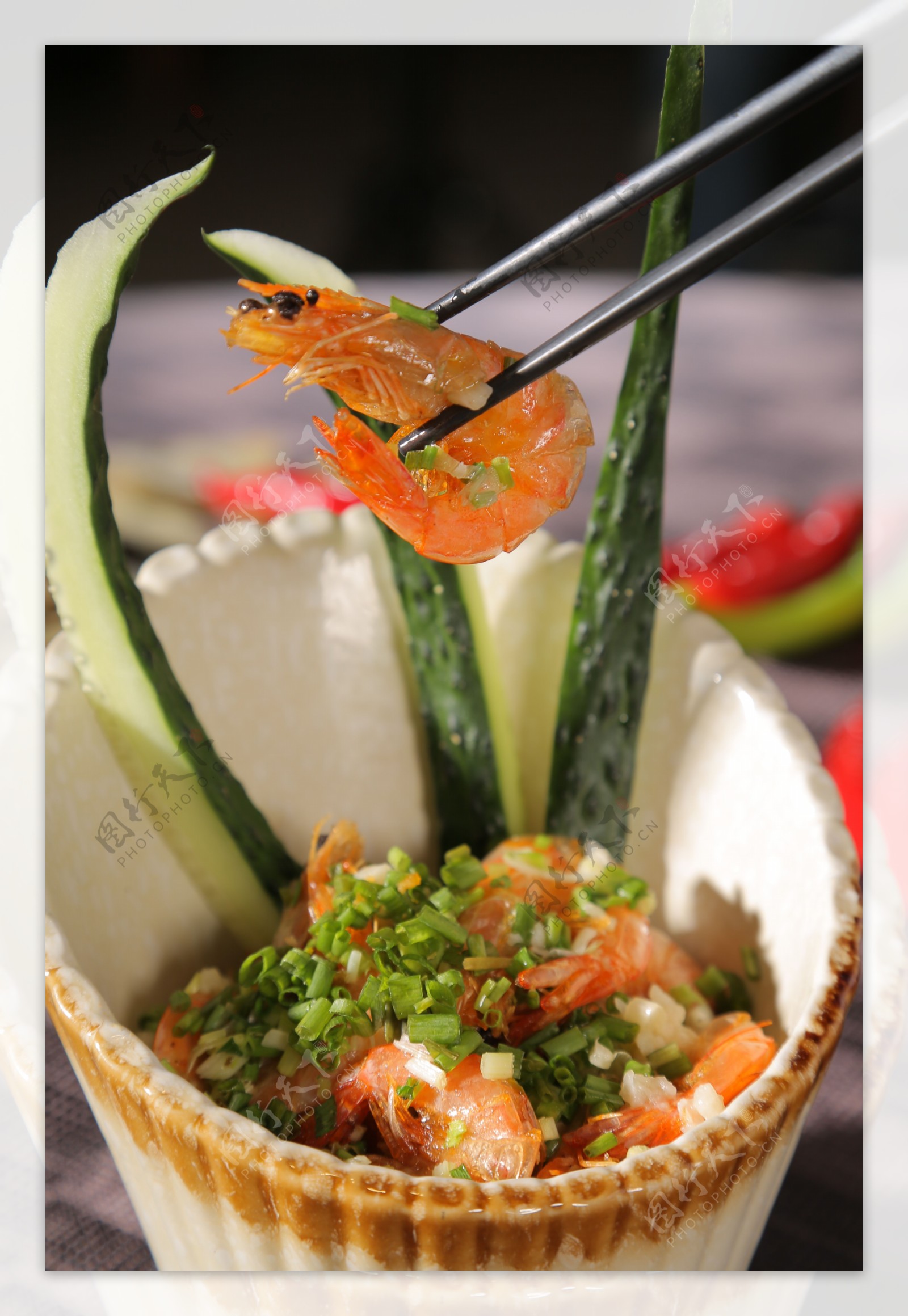 盆栽虾图片