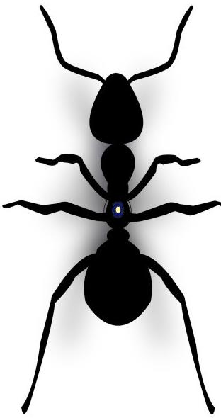 蚂蚁矢量图图片