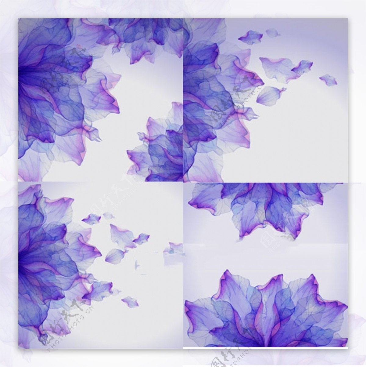 紫色梦幻花瓣矢量背景图