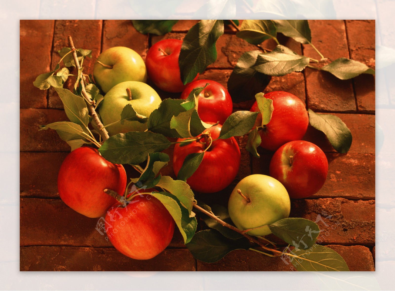 青苹果红苹果摄影图片图片