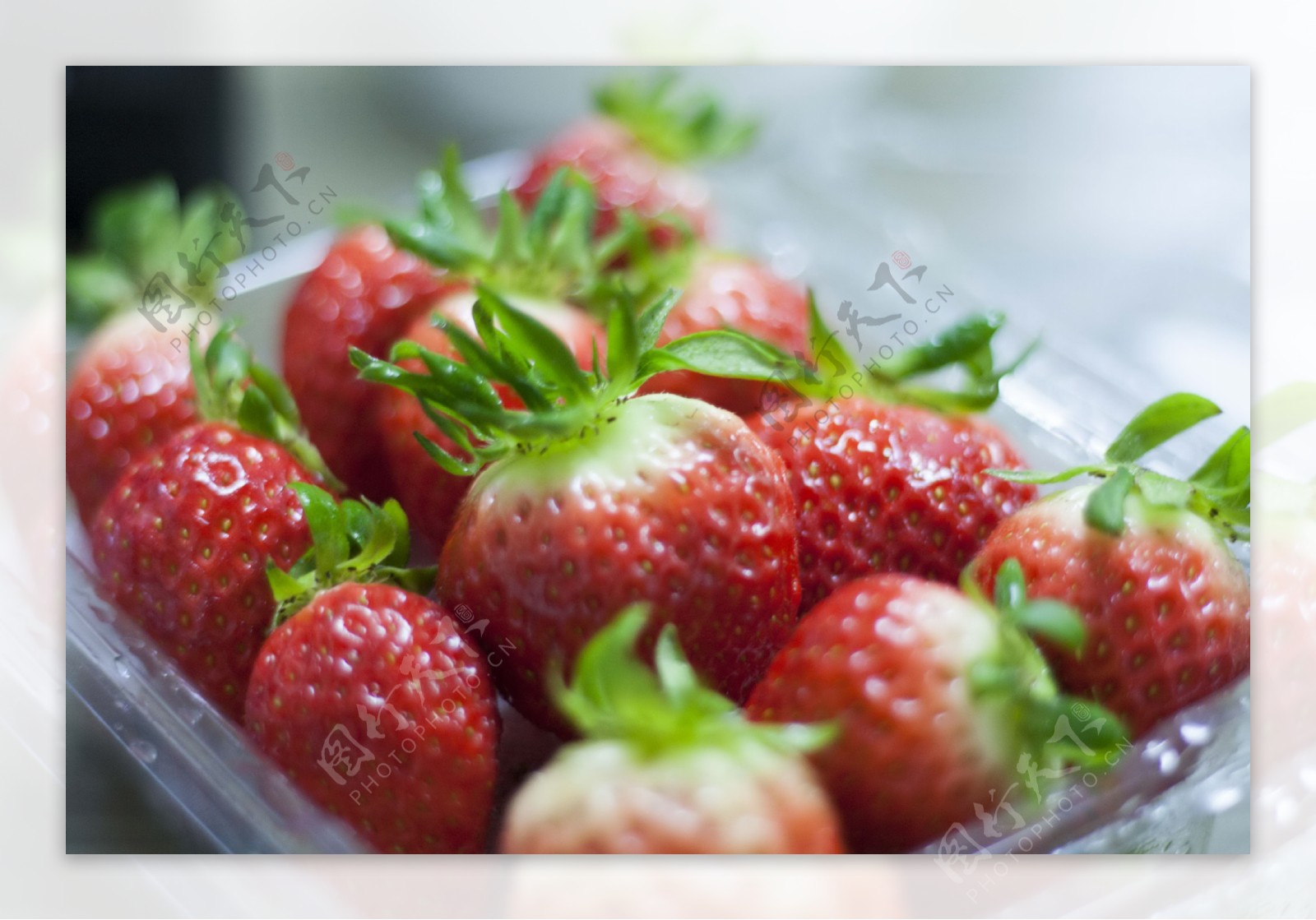 红红草莓图片