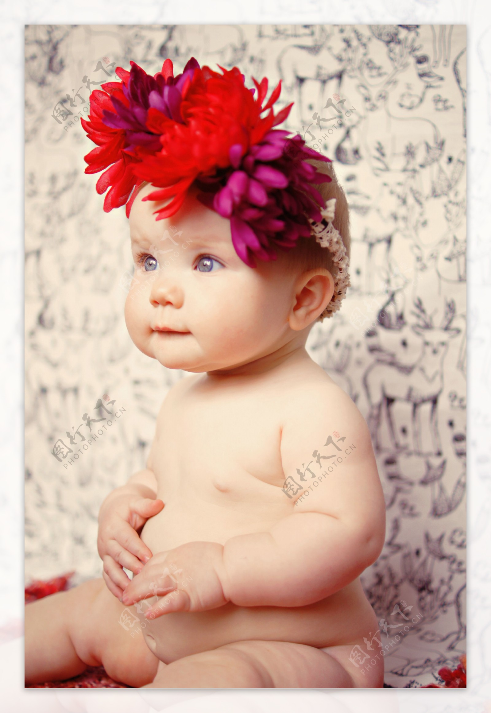 头戴花朵的女婴图片