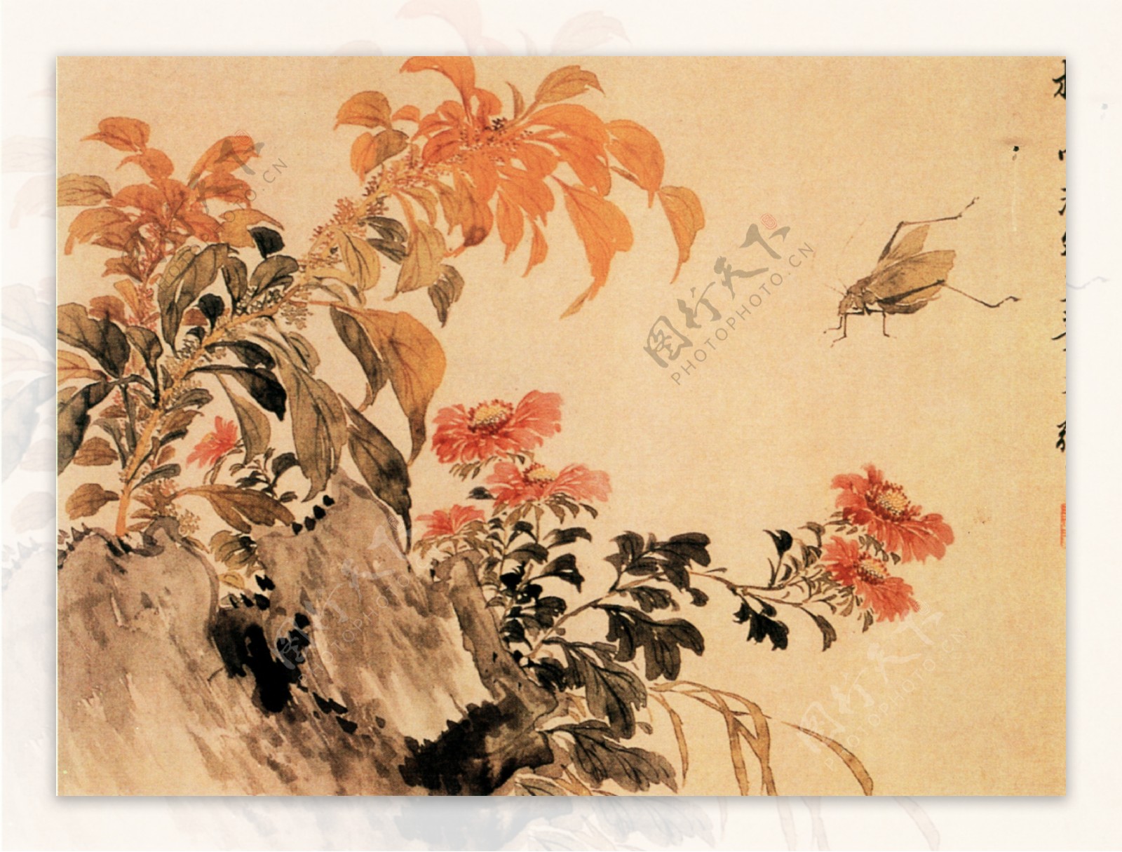 花卉图a花鸟画中国古画0564