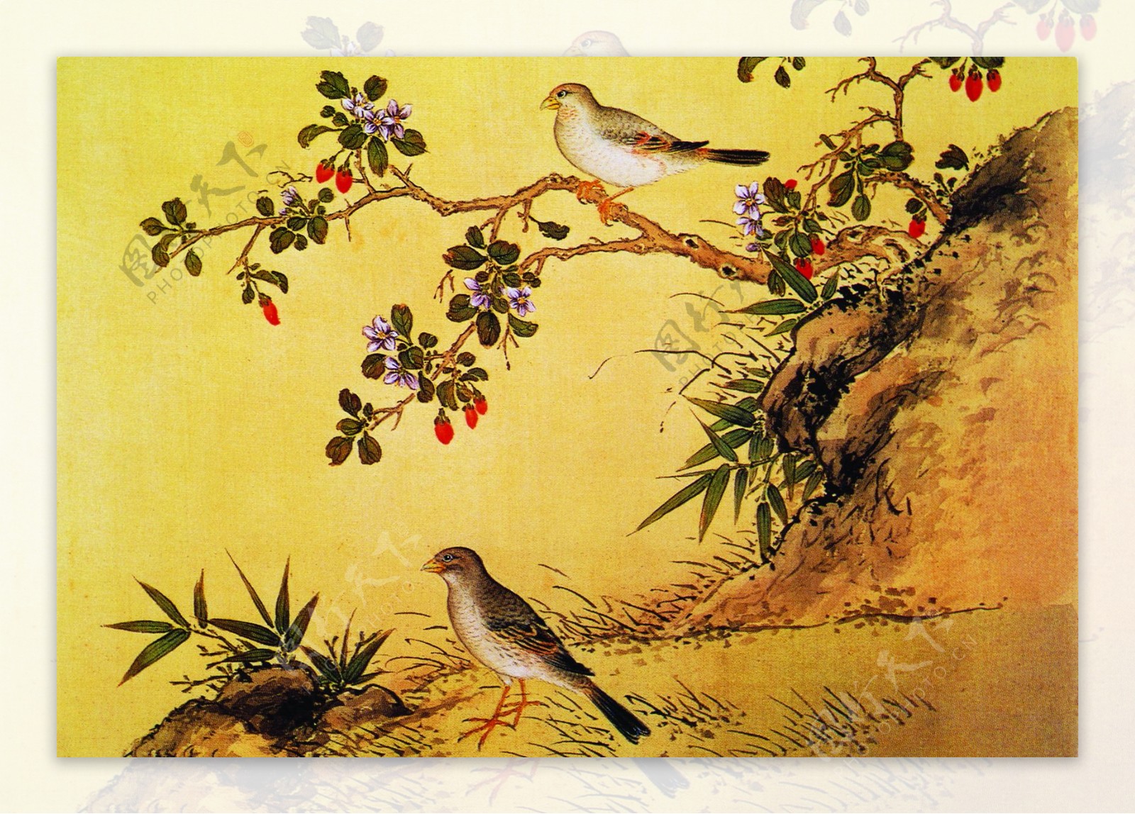 花鸟画中国古画传统国画10