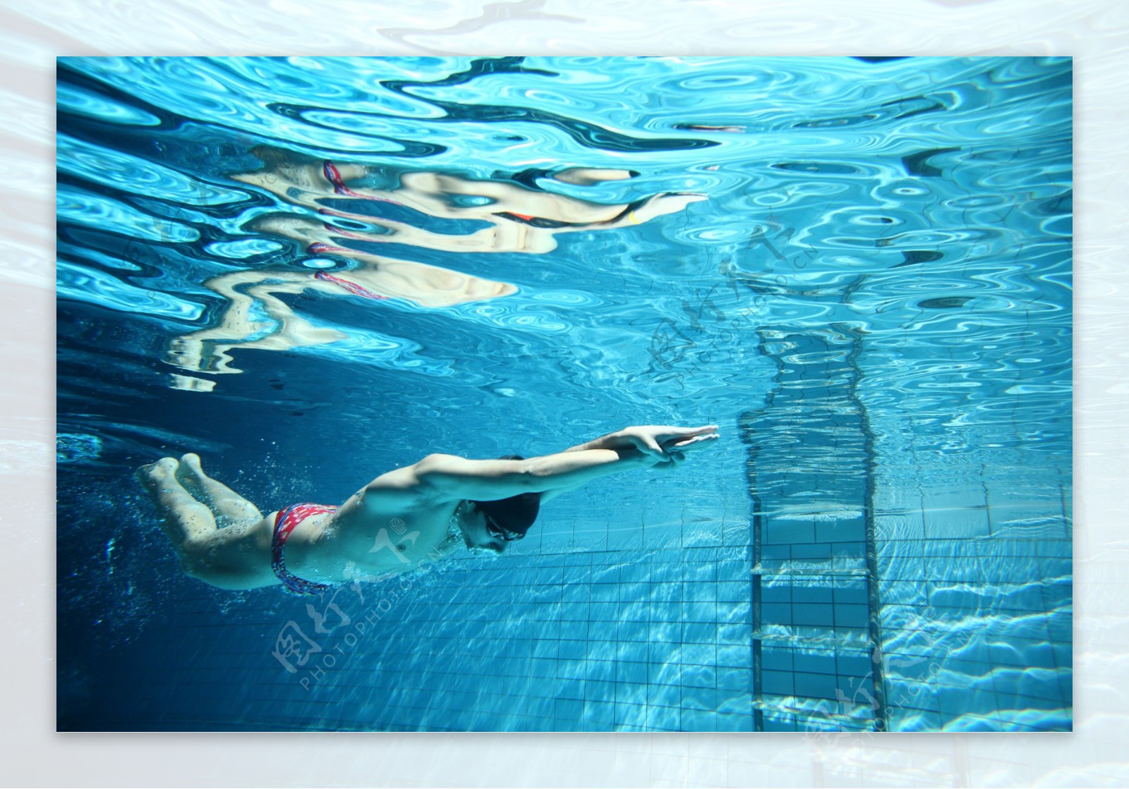 练习游泳的运动员图片
