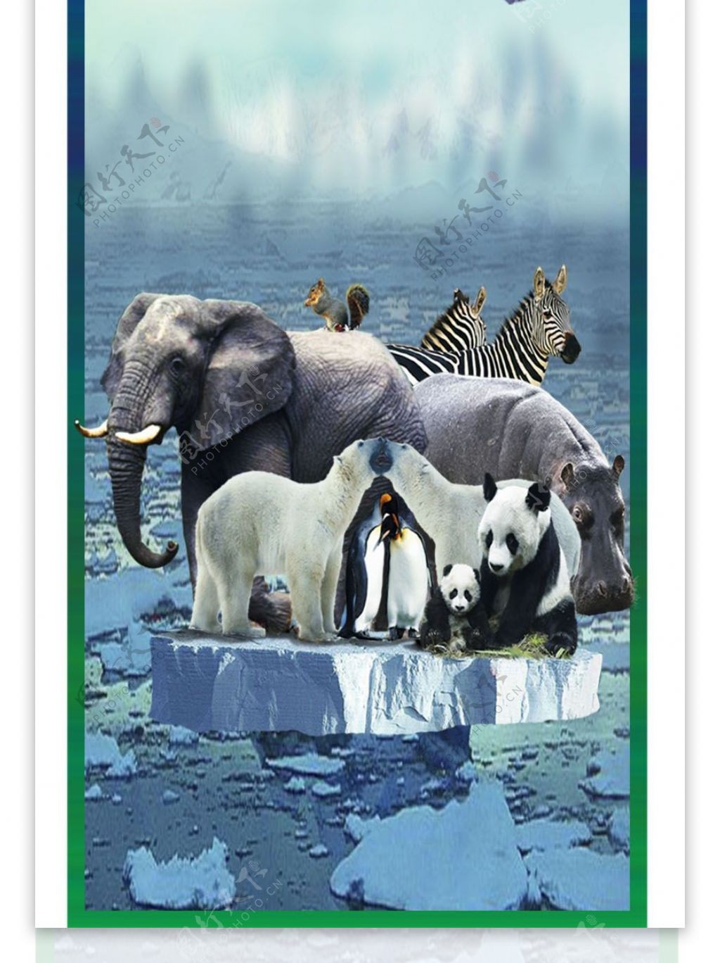 动物生态环保海报图片