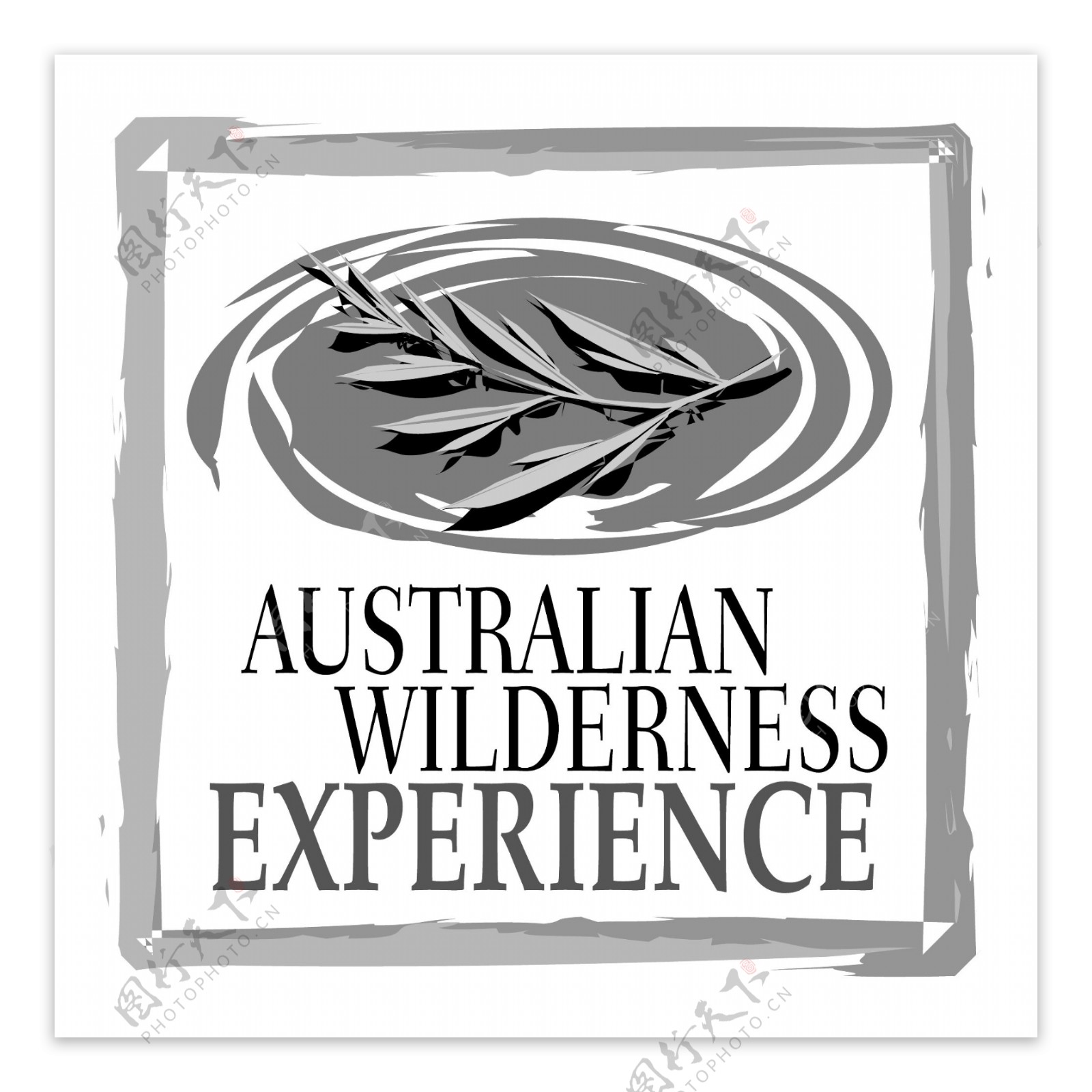 澳大利亚荒野的经验