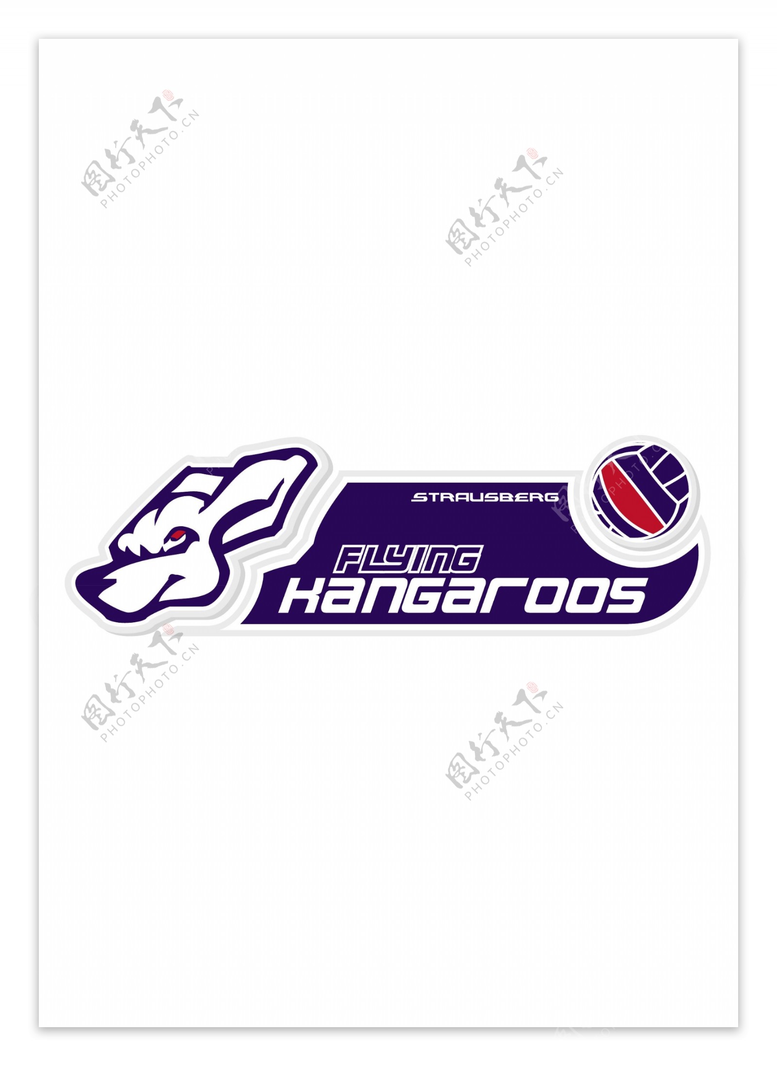 FlyingKangaroosVolleyballlogo设计欣赏FlyingKangaroosVolleyball体育赛事标志下载标志设计欣赏