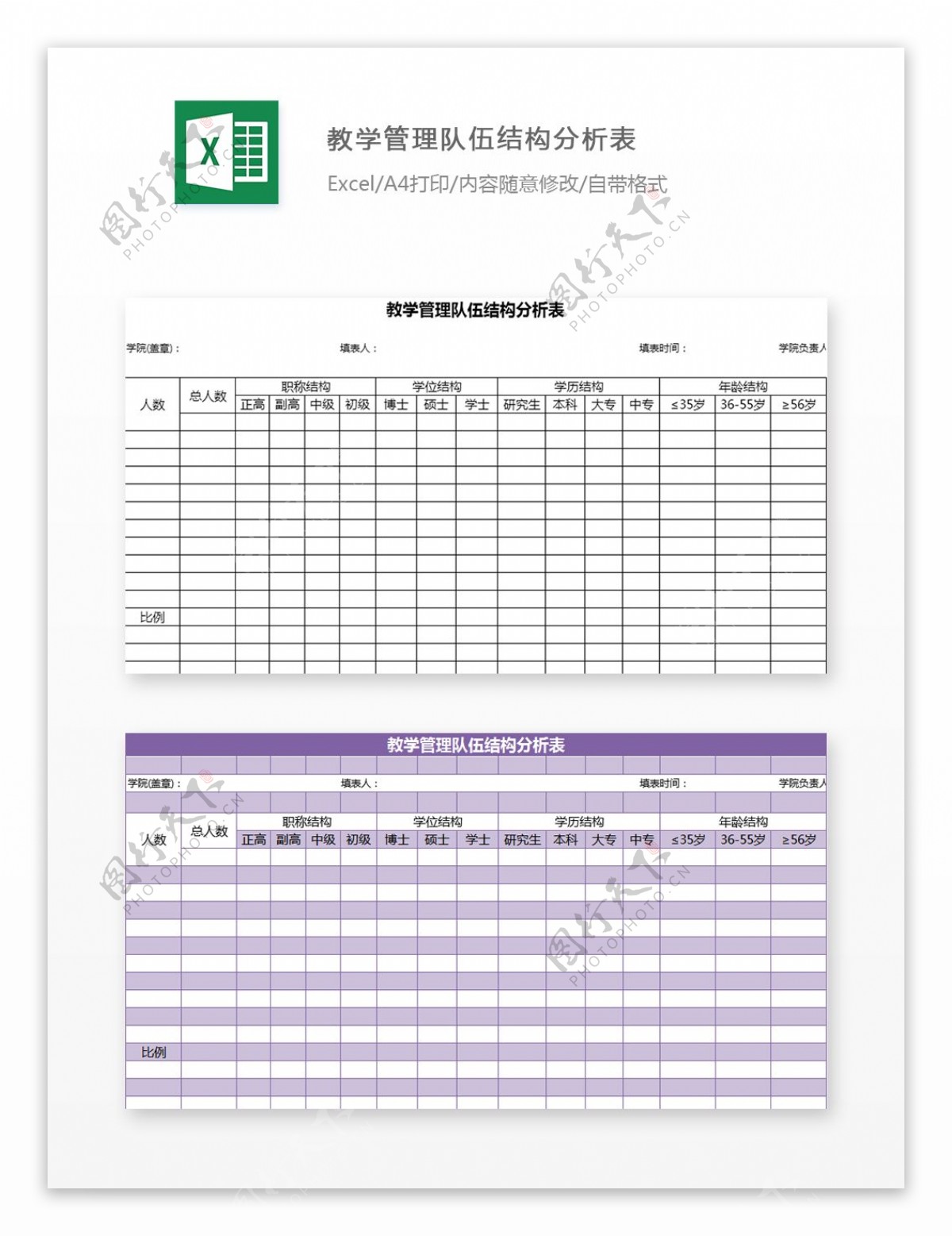 教学管理队伍结构分析表