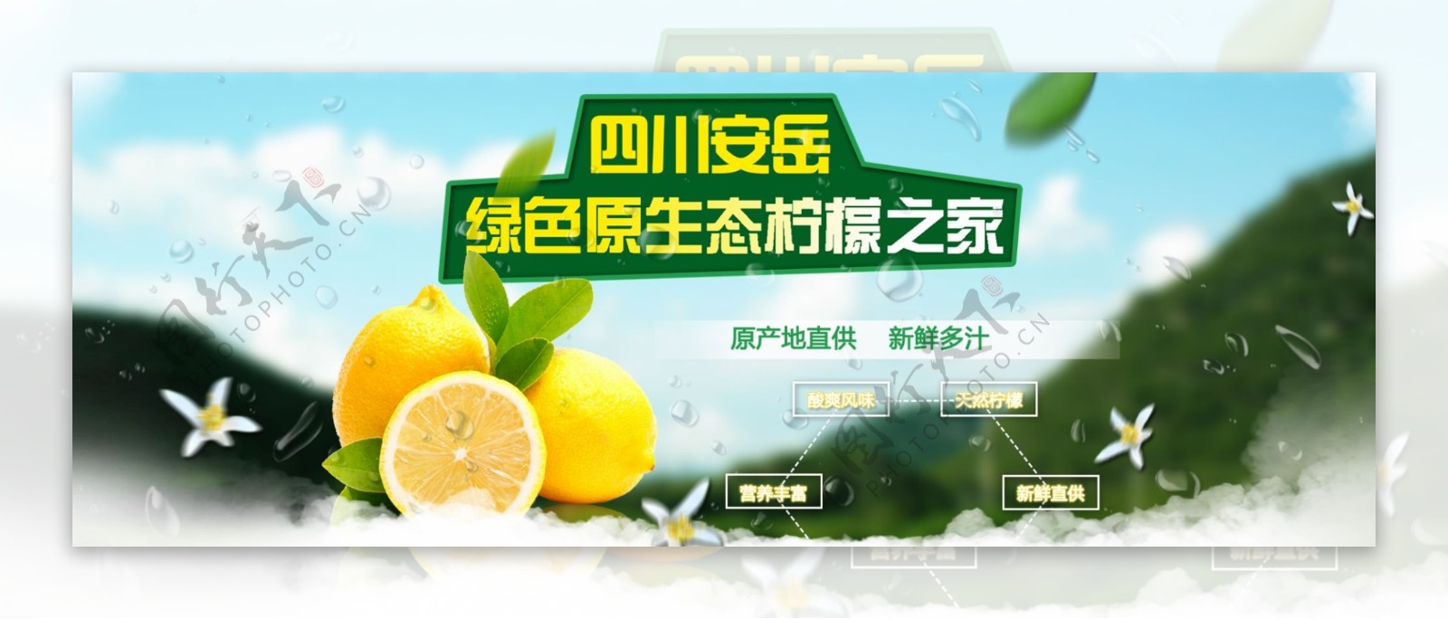 四川安岳柠檬之家全屏海报