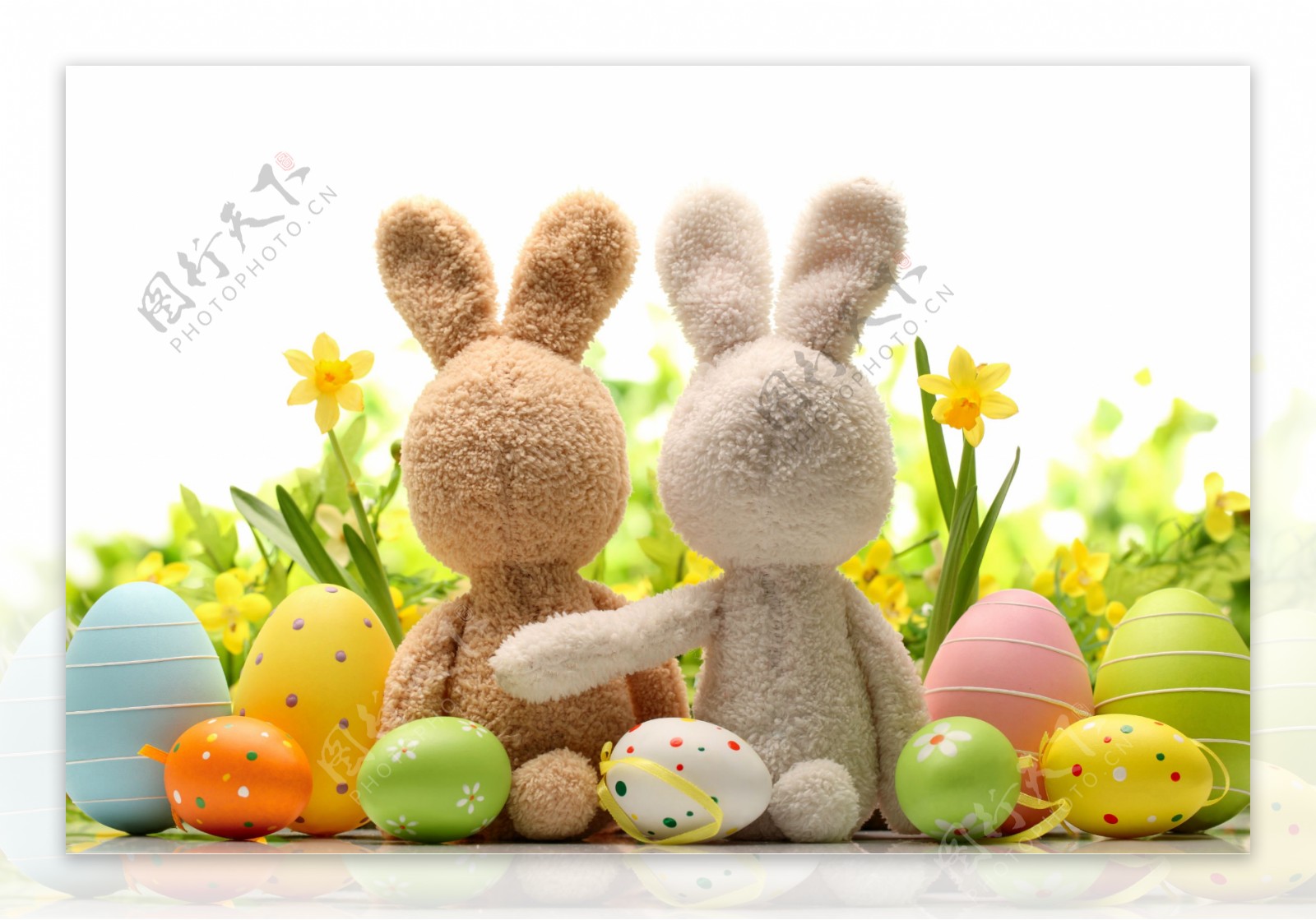 复活节兔子玩具与彩蛋图片