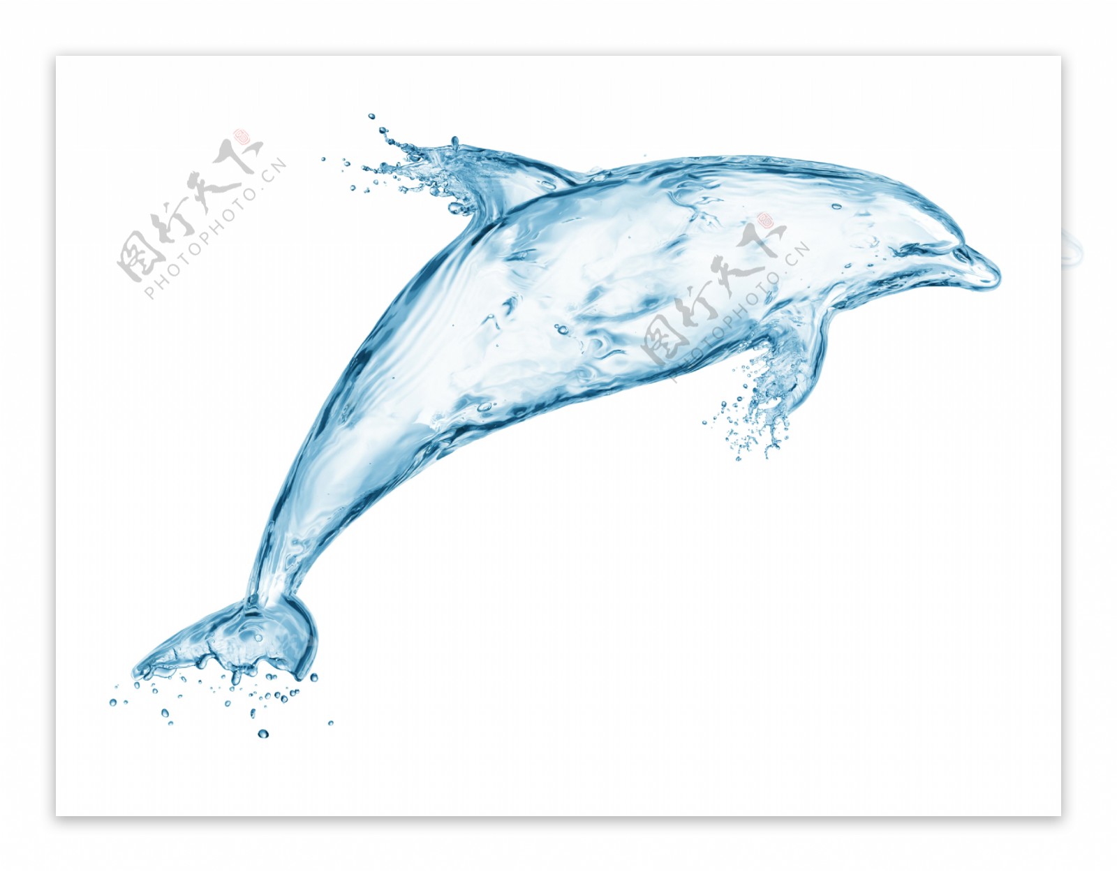 海豚水花图片