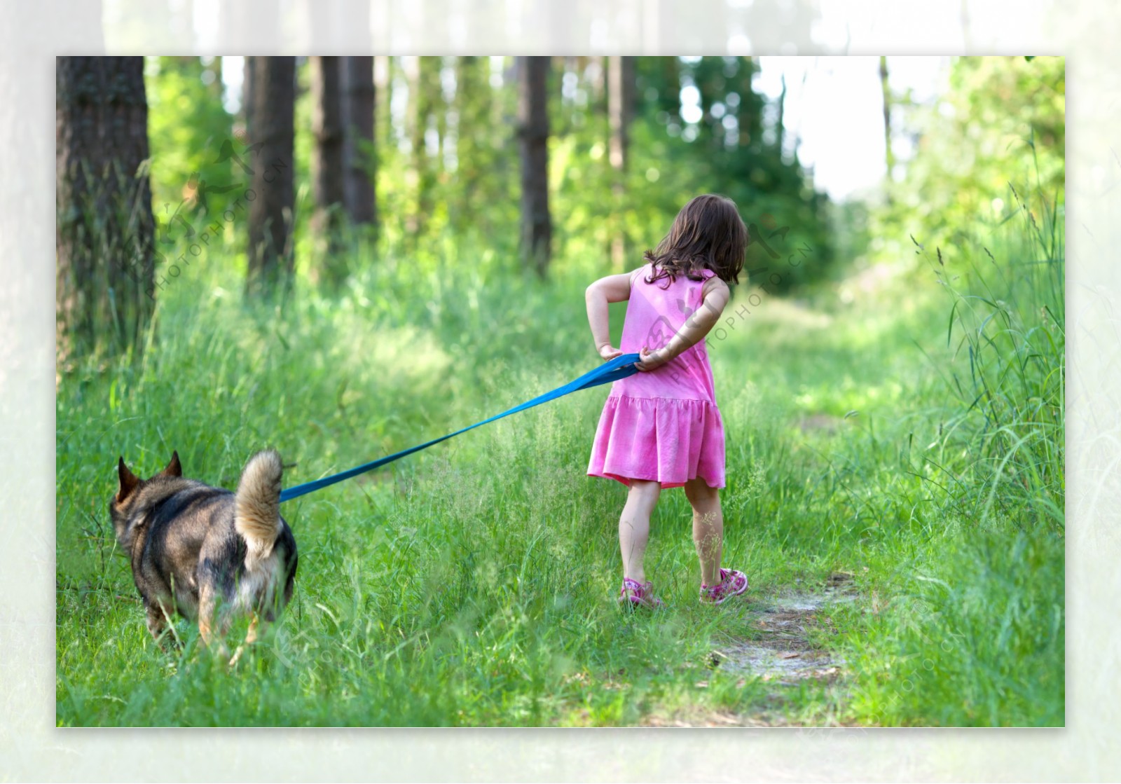 草地上的溜狗的小女孩图片