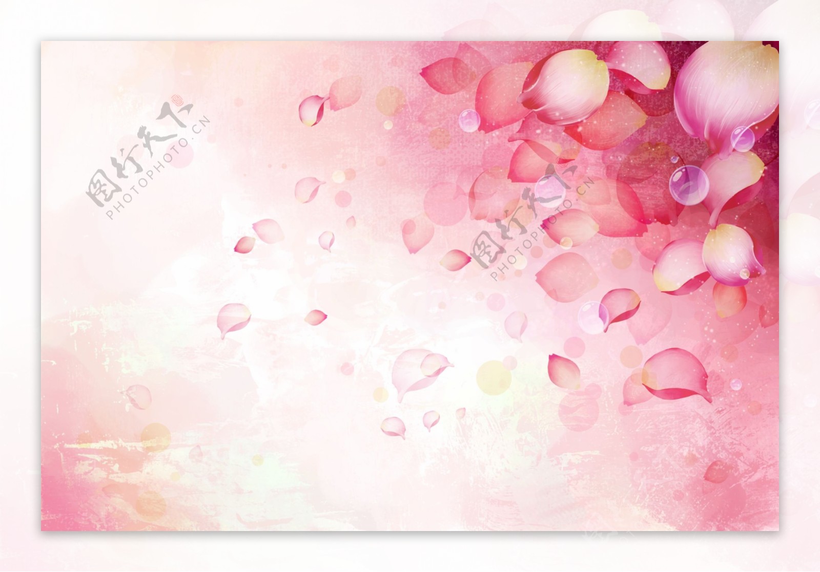 手绘花瓣粉色背景墙