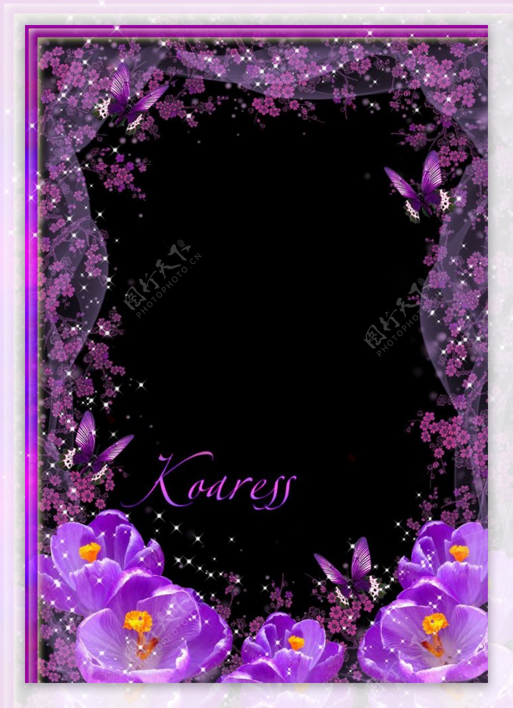 紫色鲜花边框