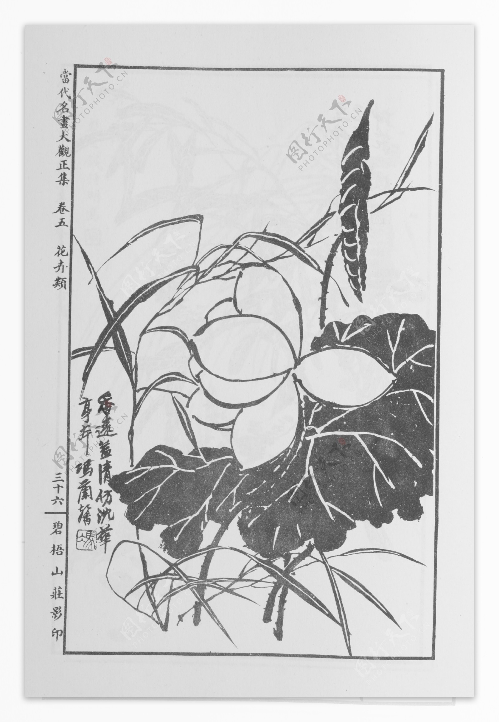 花卉画中国画当代名画大观正集50