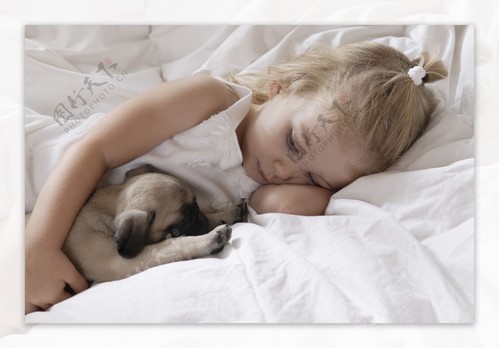 睡觉的小女孩与小狗