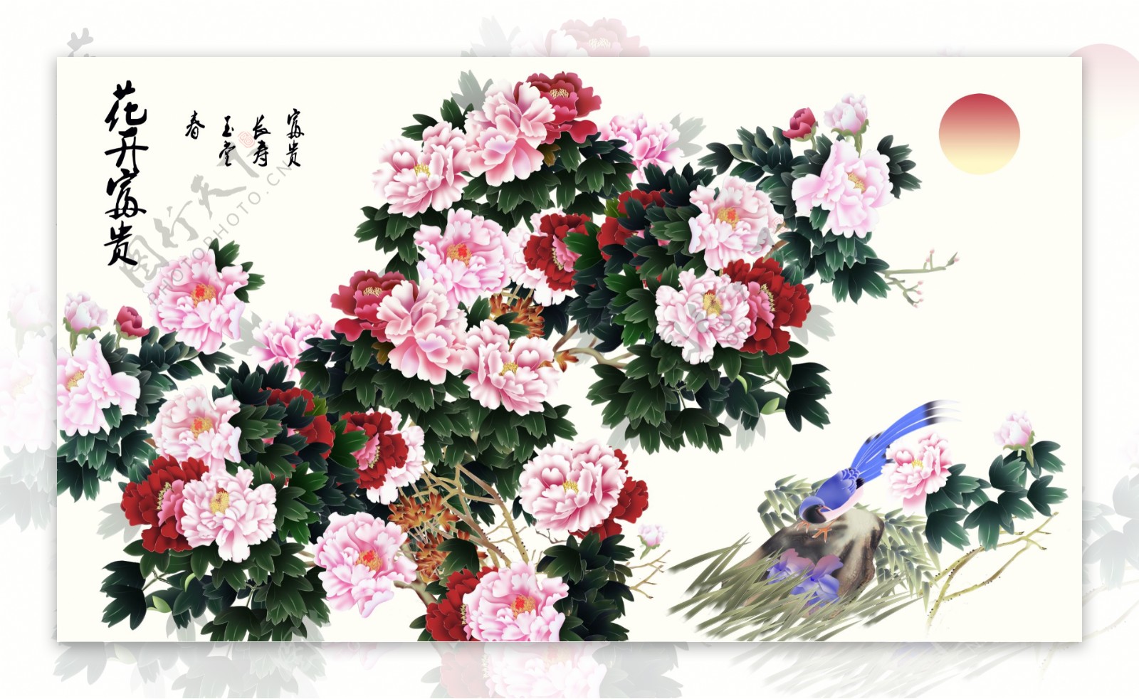 牡丹花卉素材背景装饰