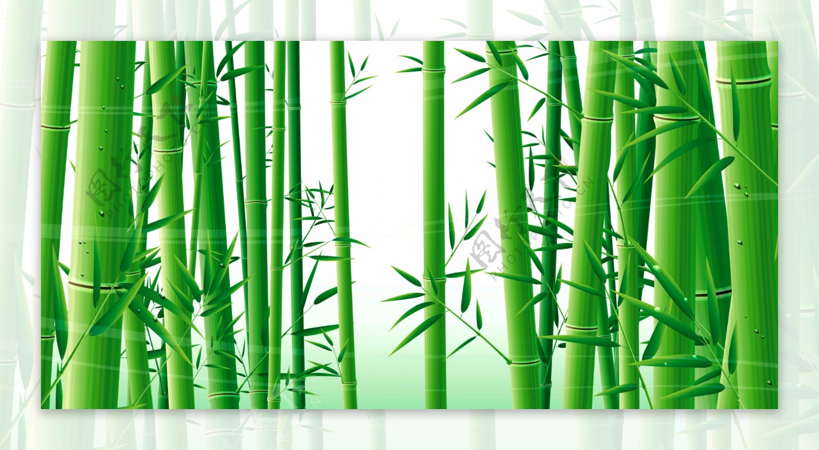 绿色竹子素材背景墙