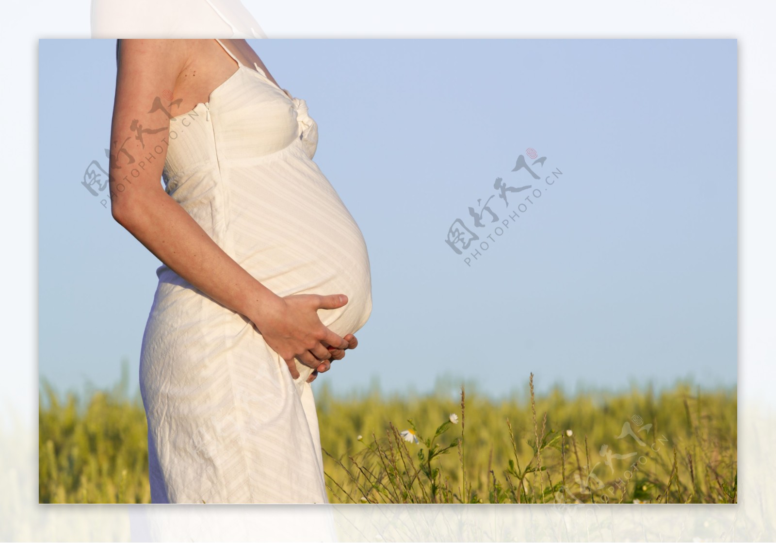 草地上摸肚子的孕妇图片