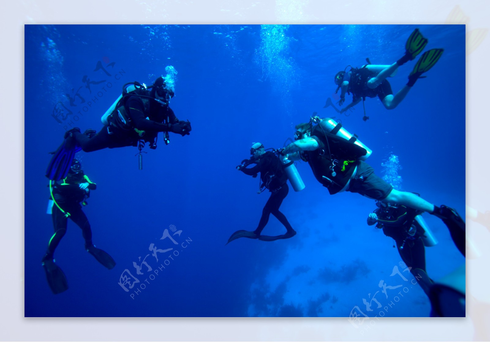 大海里的潜水人员图片