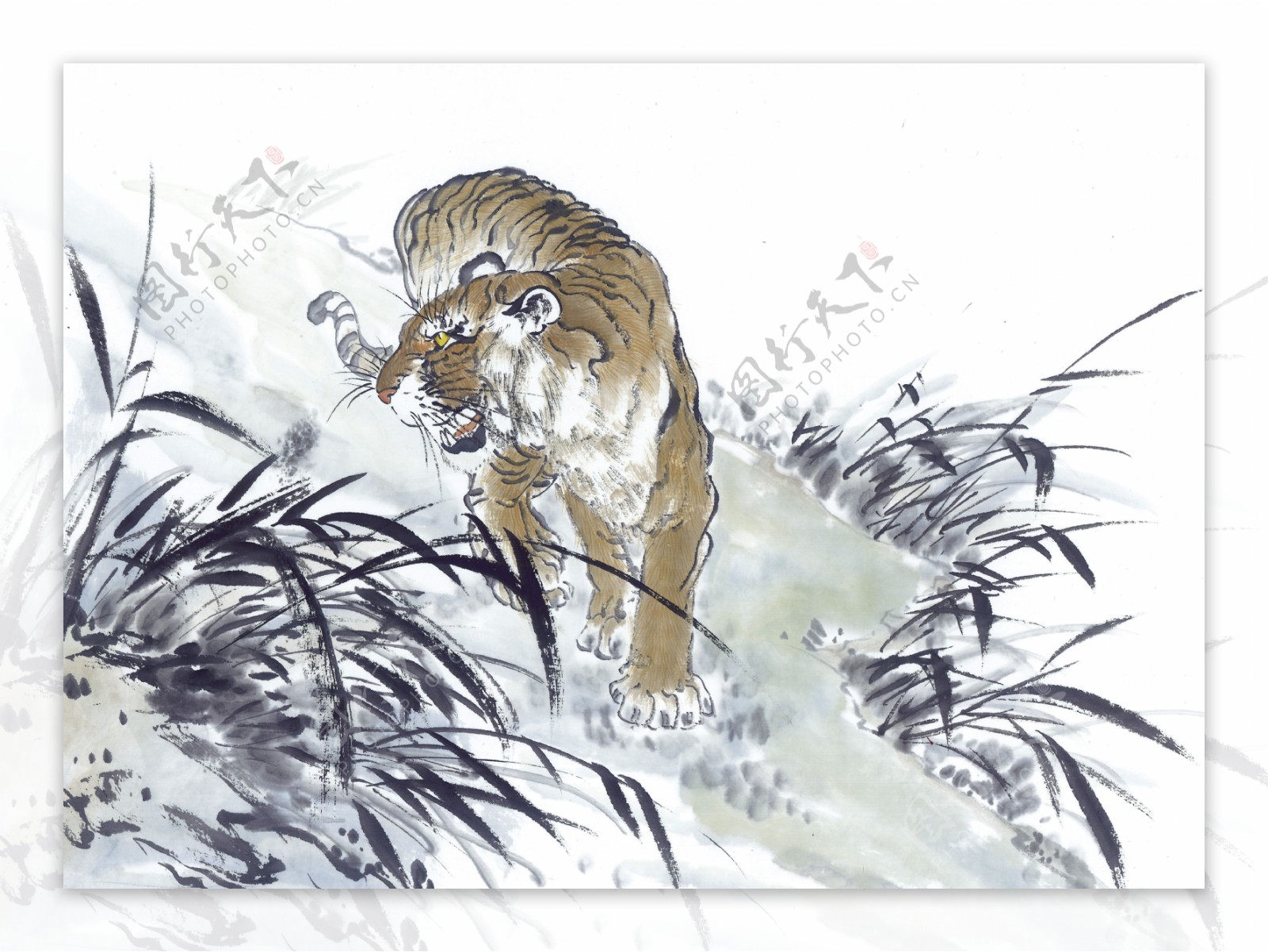 虎写意动物画国画0005