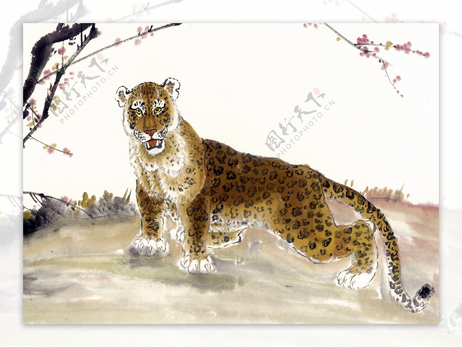豹写意动物画国画0012