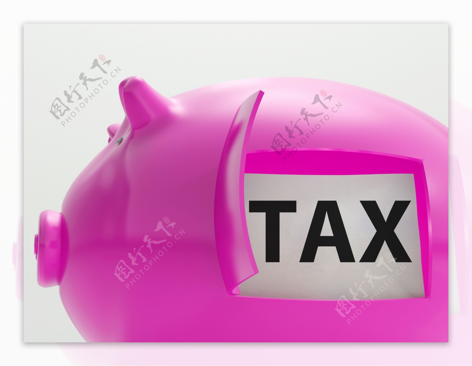 税纳税人税收储蓄小猪显示