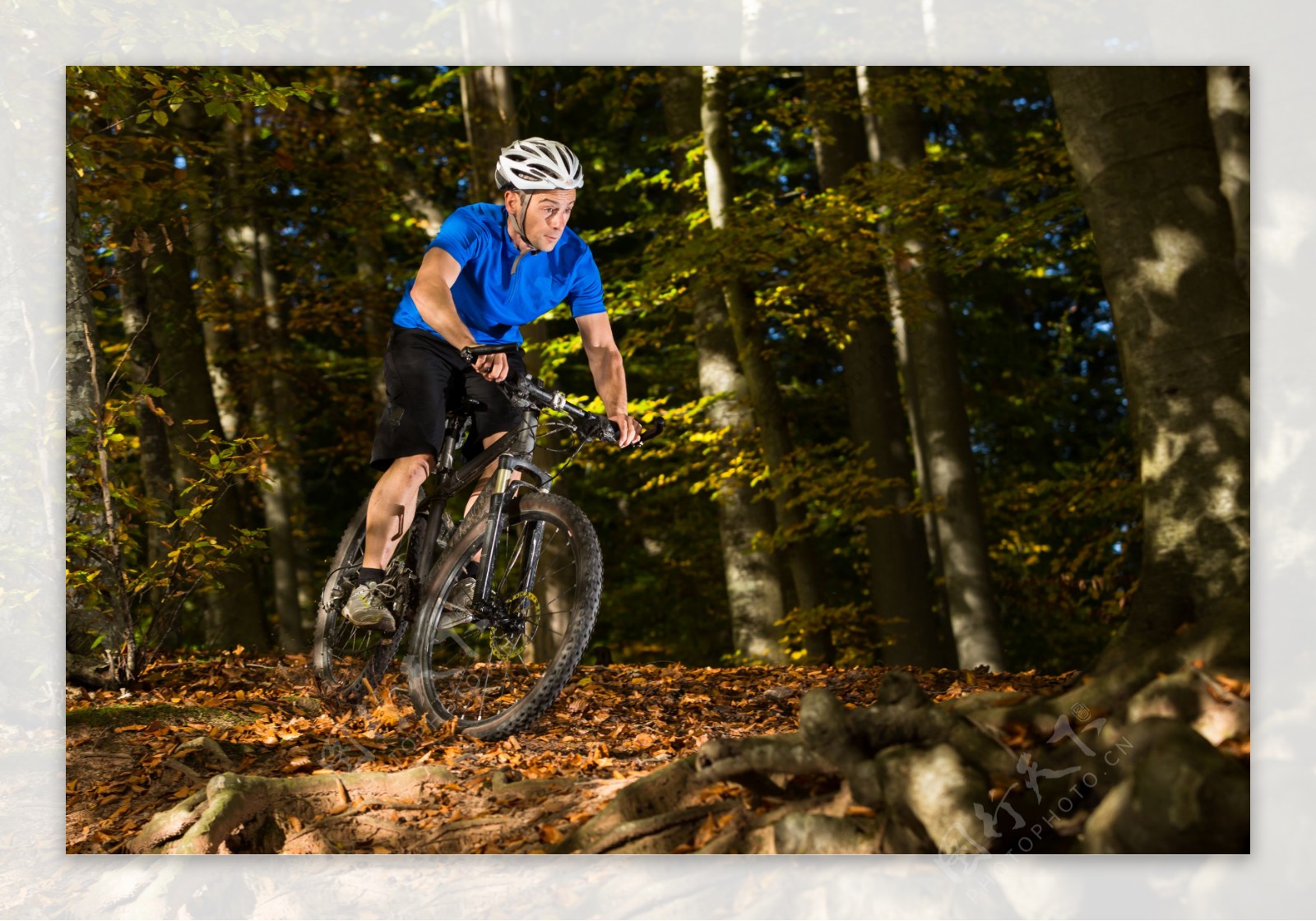 树林里骑自行车的男人图片