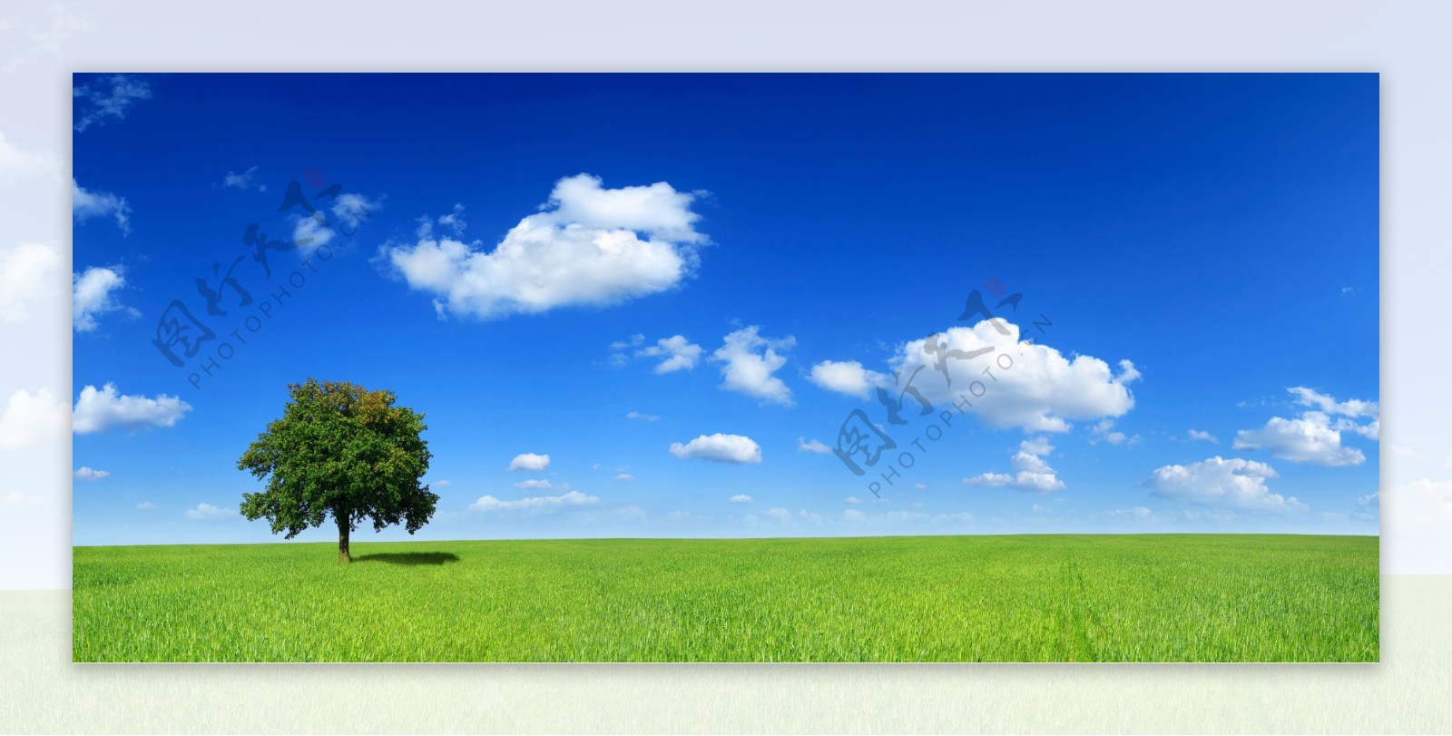 蓝天白云与草原风景