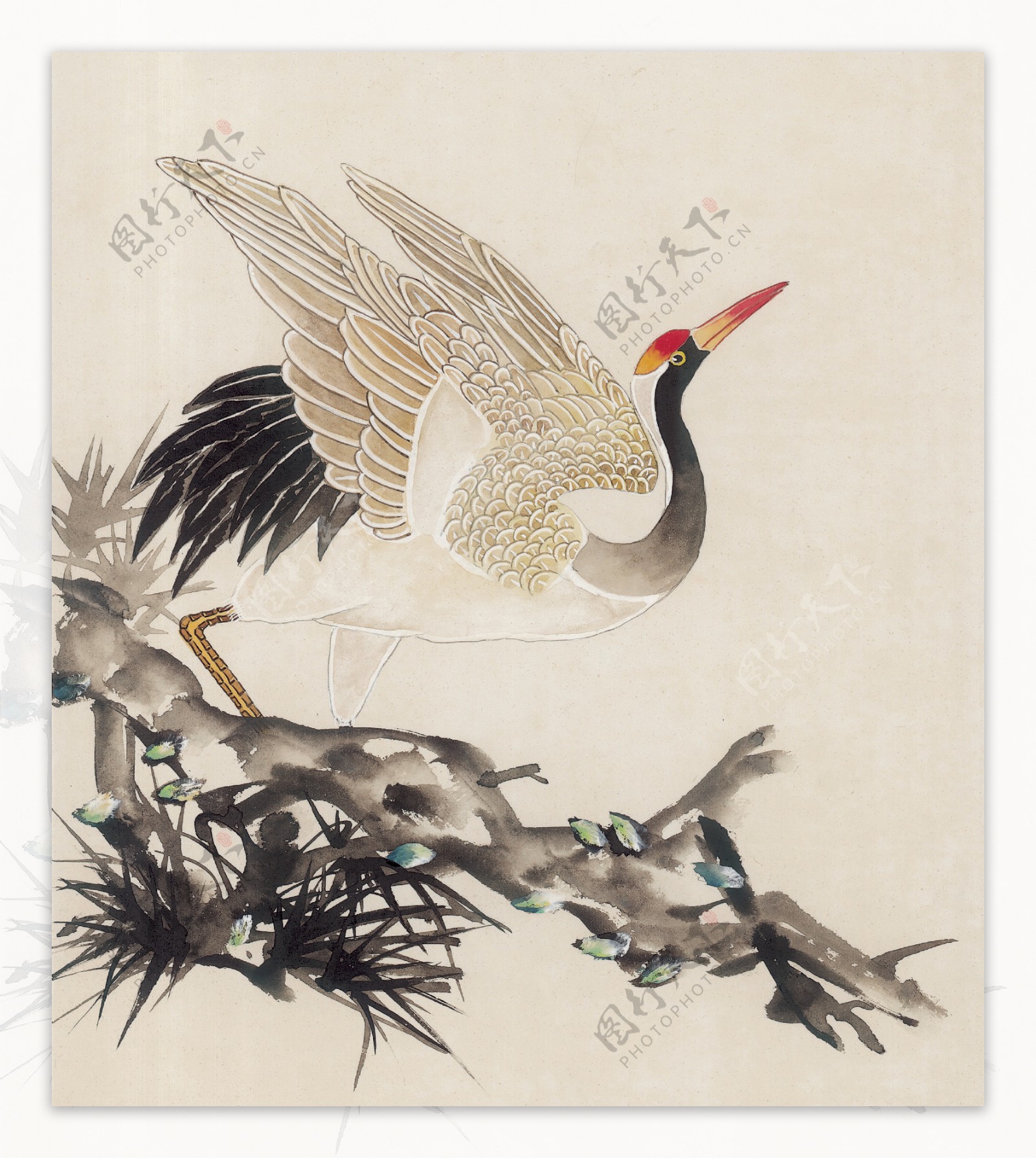 花鸟中国画39