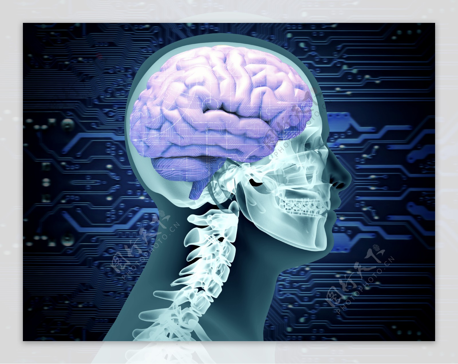 人体大脑科技背景图片