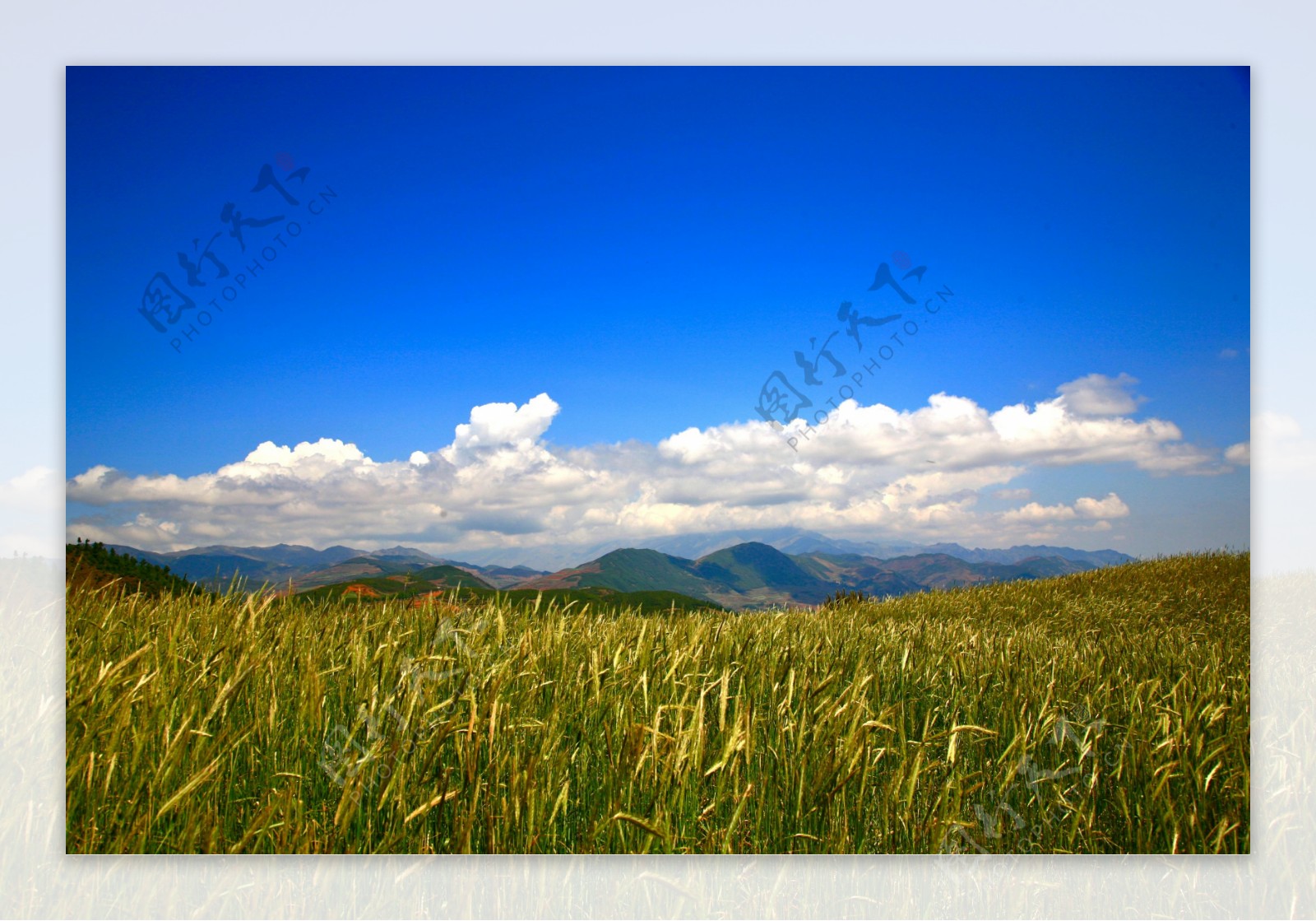 麦地山峰美丽风光图片