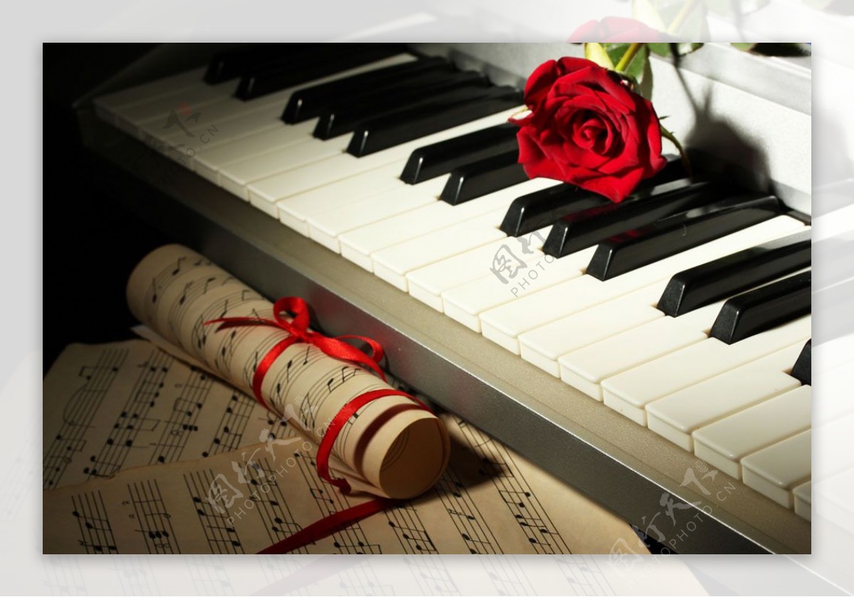 玫瑰花和钢琴图片