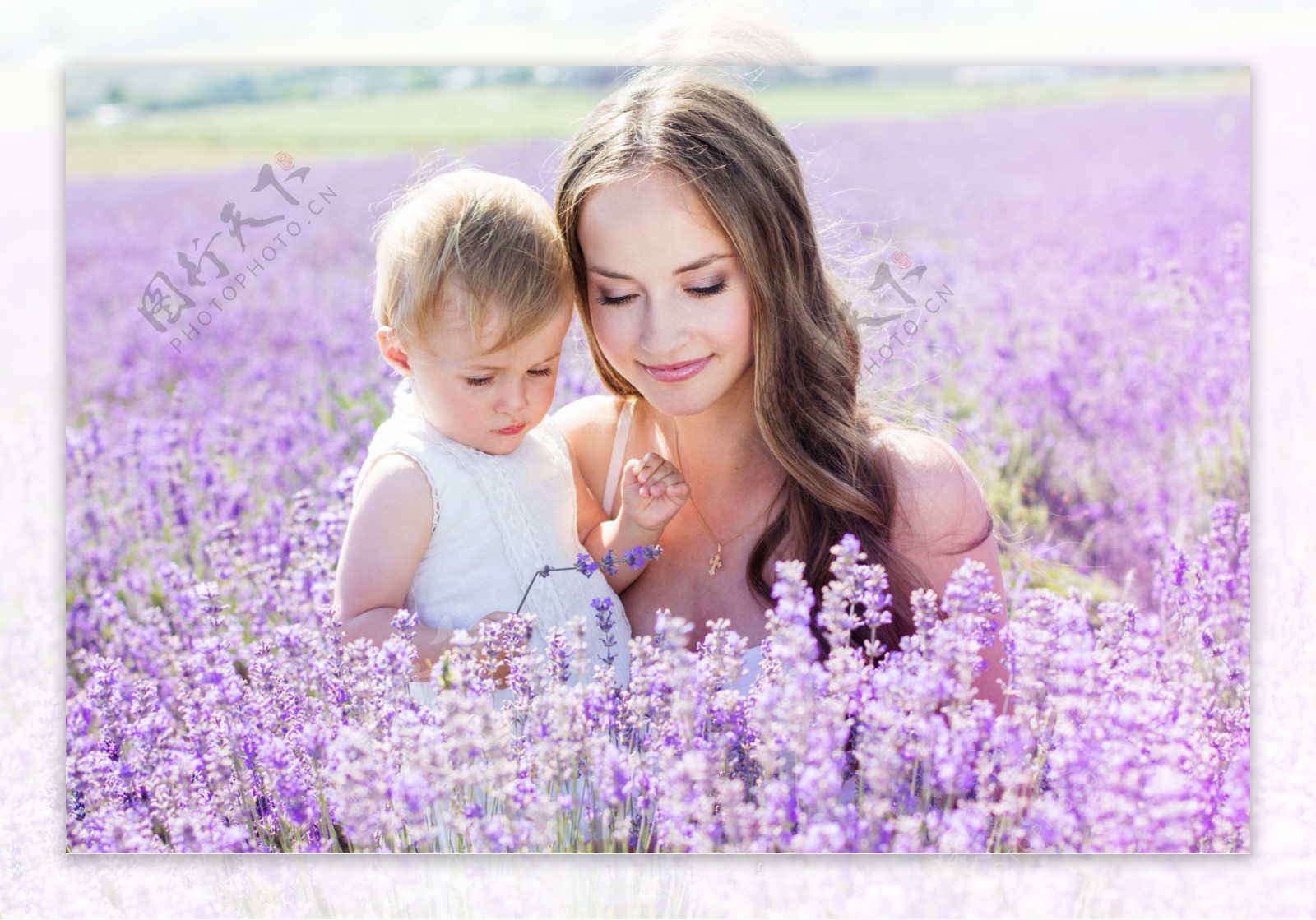 和女儿在薰衣草丛中的母亲图片